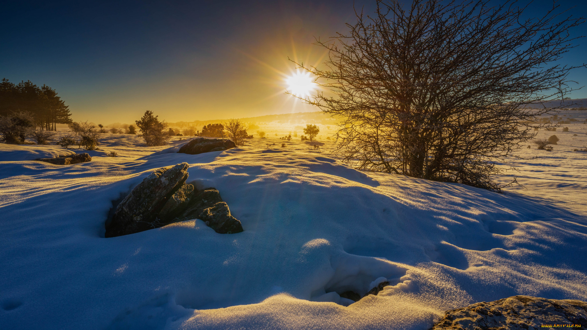 природа, зима, свет, снег, лес, поле