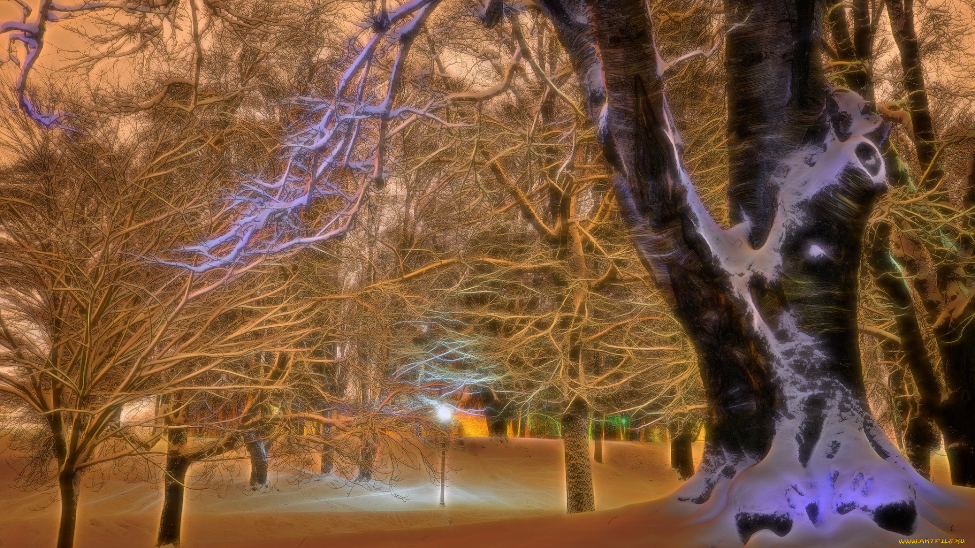 разное, компьютерный, дизайн, зима, деревья, снег, ветки