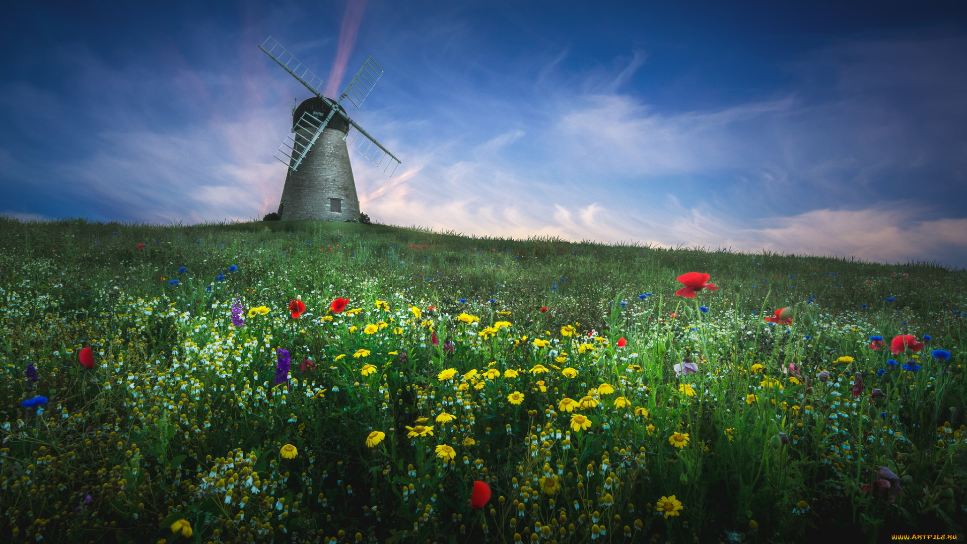 разное, мельницы, луг, ветряк, мельница