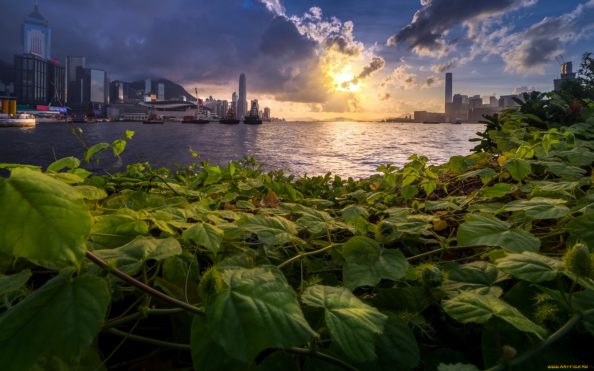 города, -, пейзажи, город, река, закат