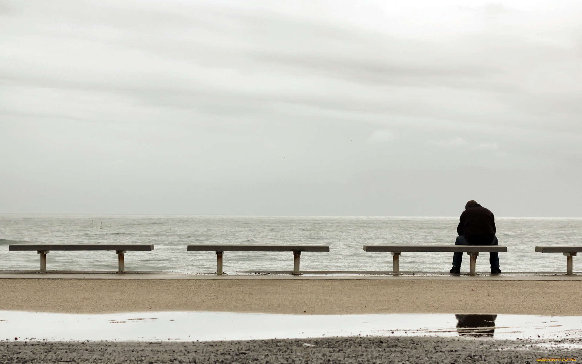 мужчины, -, unsort, скамейки, лавки, море, осень, берег, печаль, мужчина, лужа