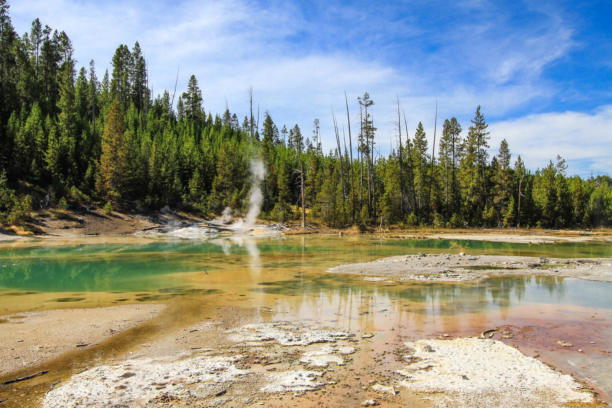 природа, реки, озера, лес, река