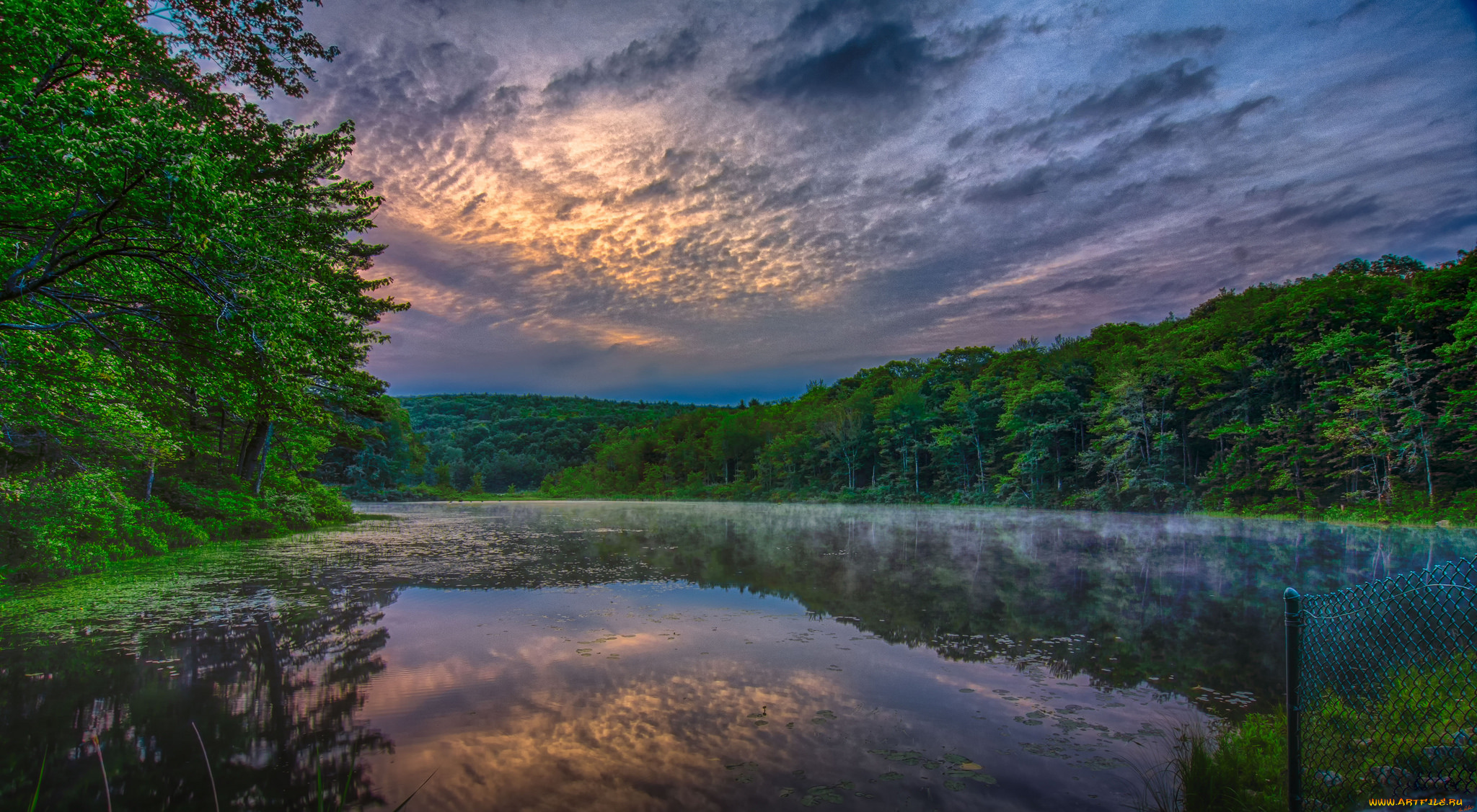 природа, реки, озера, река, лес