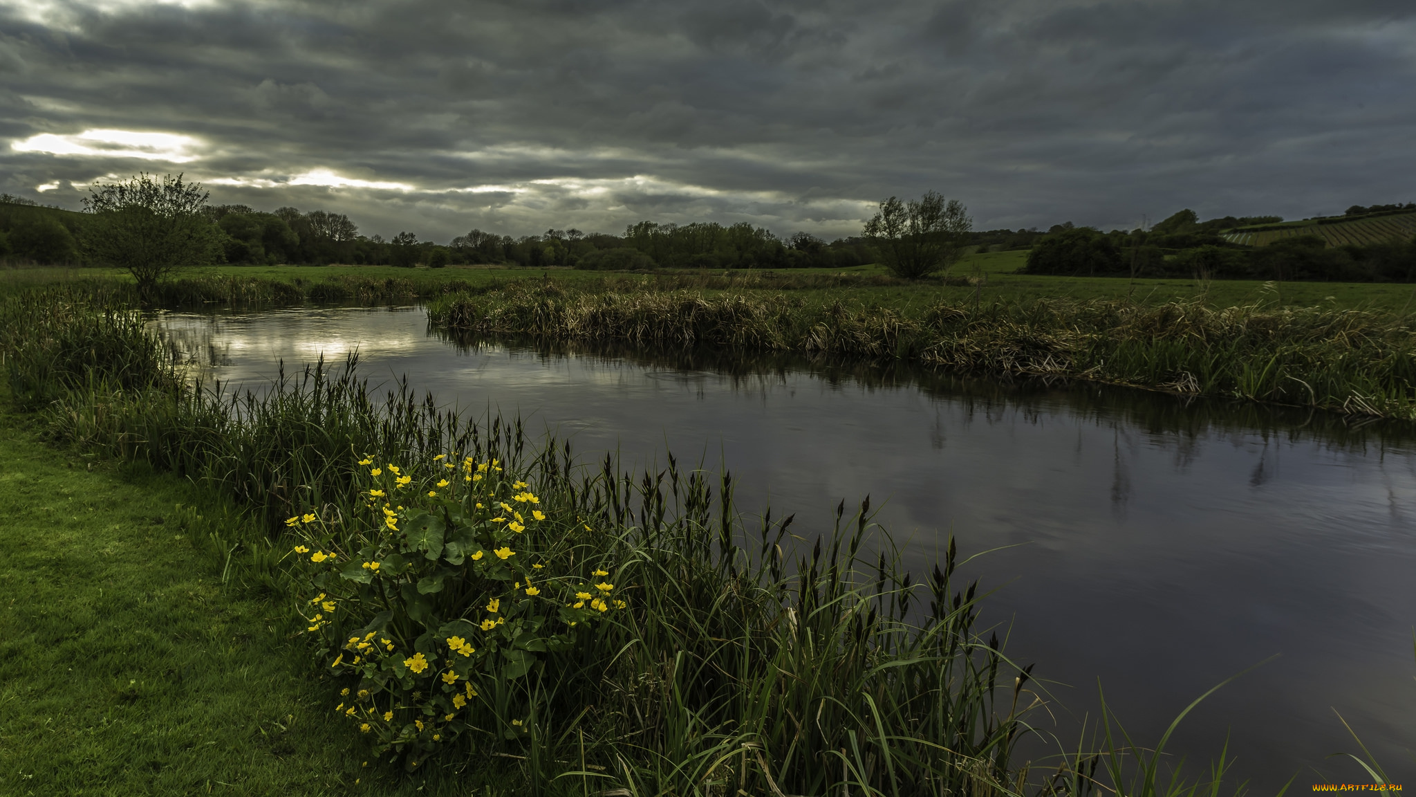природа, реки, озера, река, лес