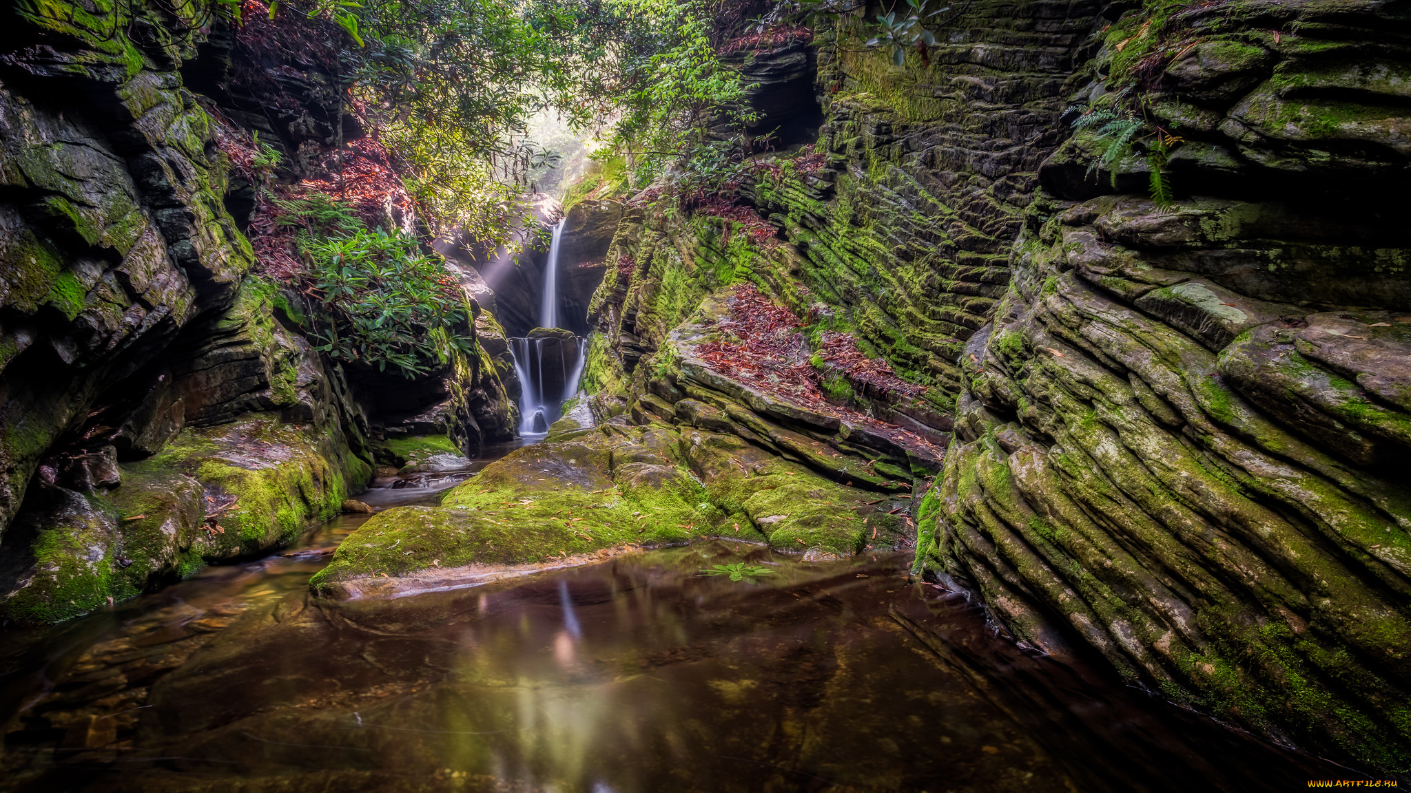 природа, водопады, водопад, река, лес