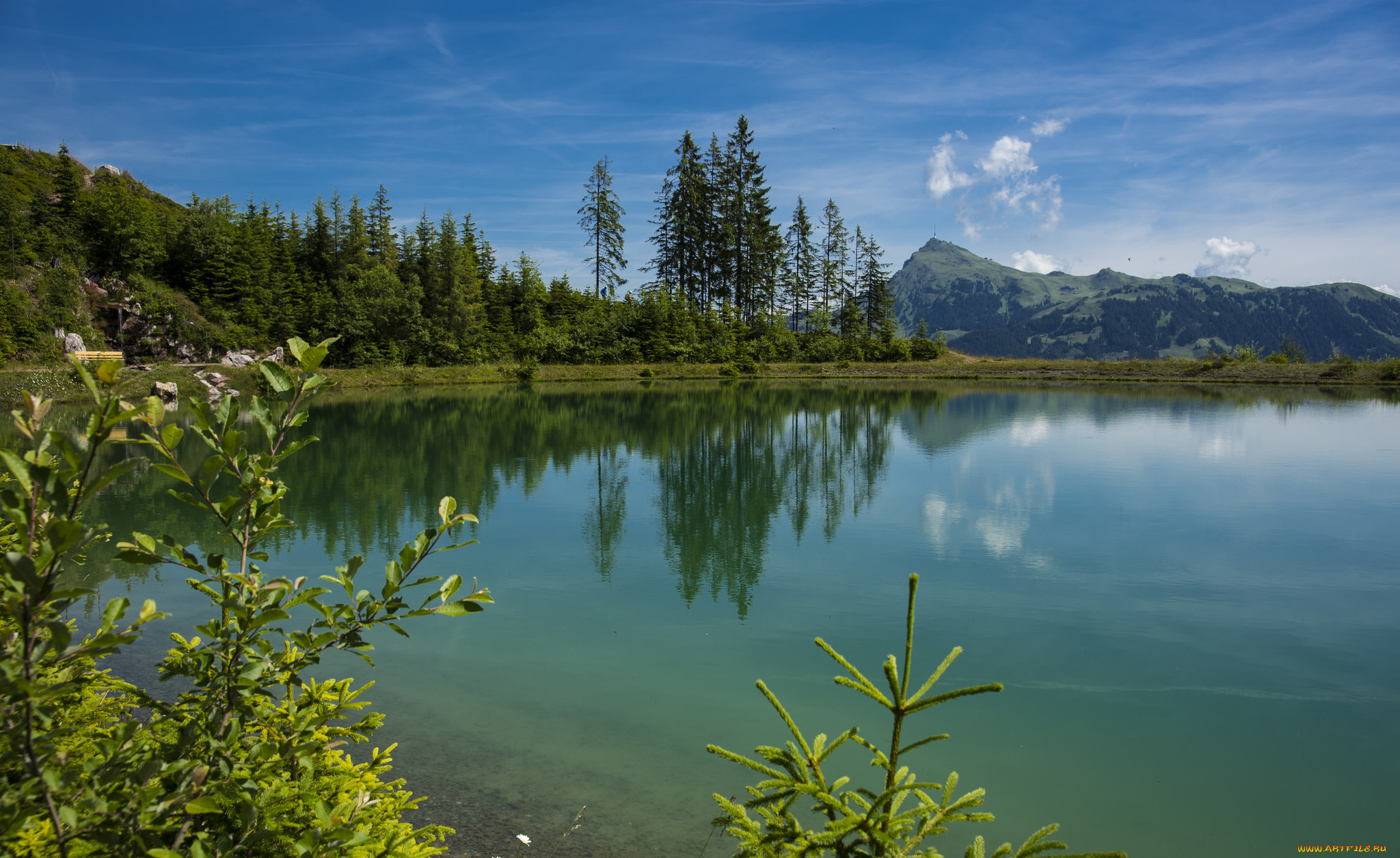 природа, реки, озера, река, лес, горы