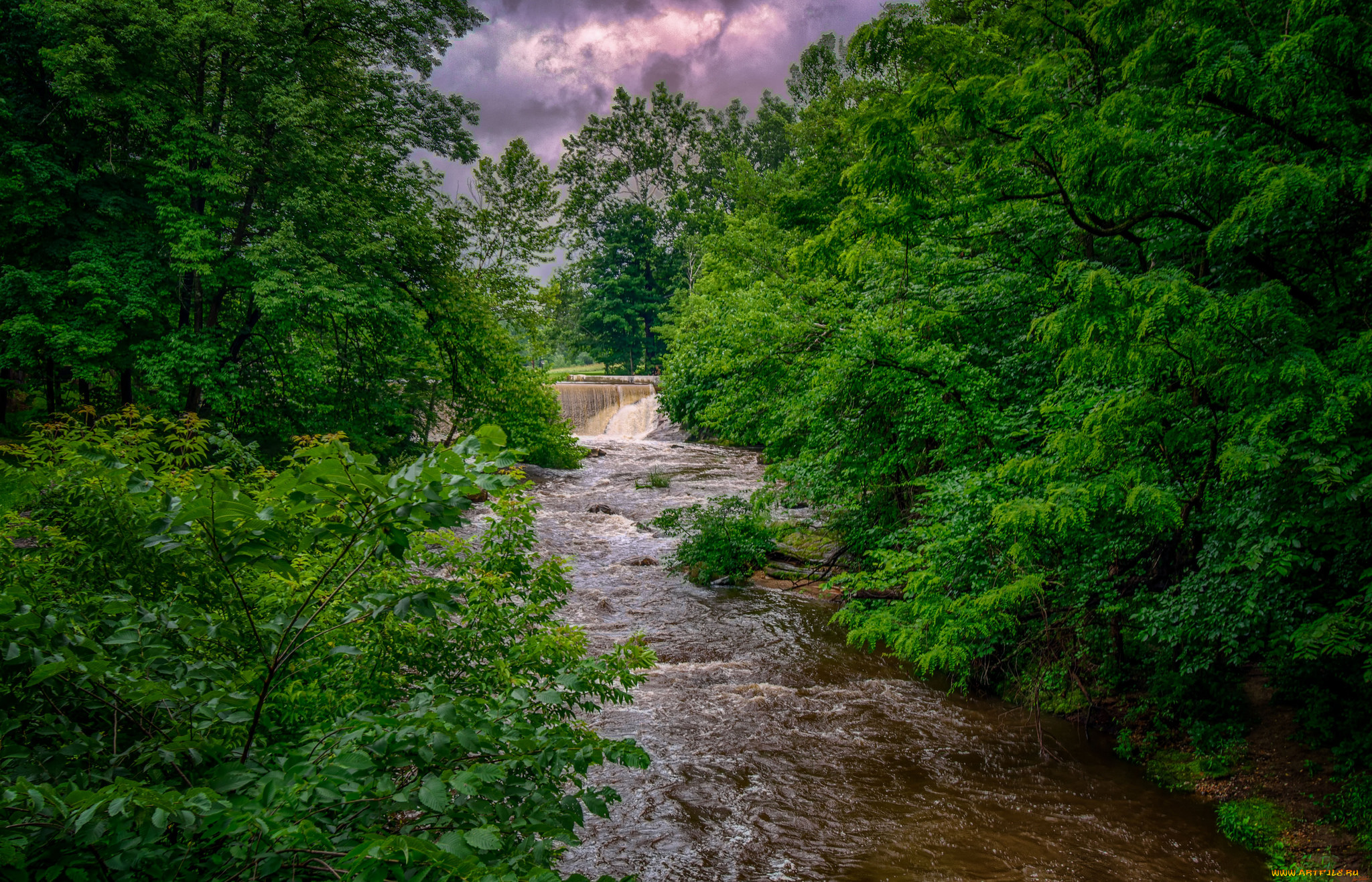 природа, реки, озера, река, лес