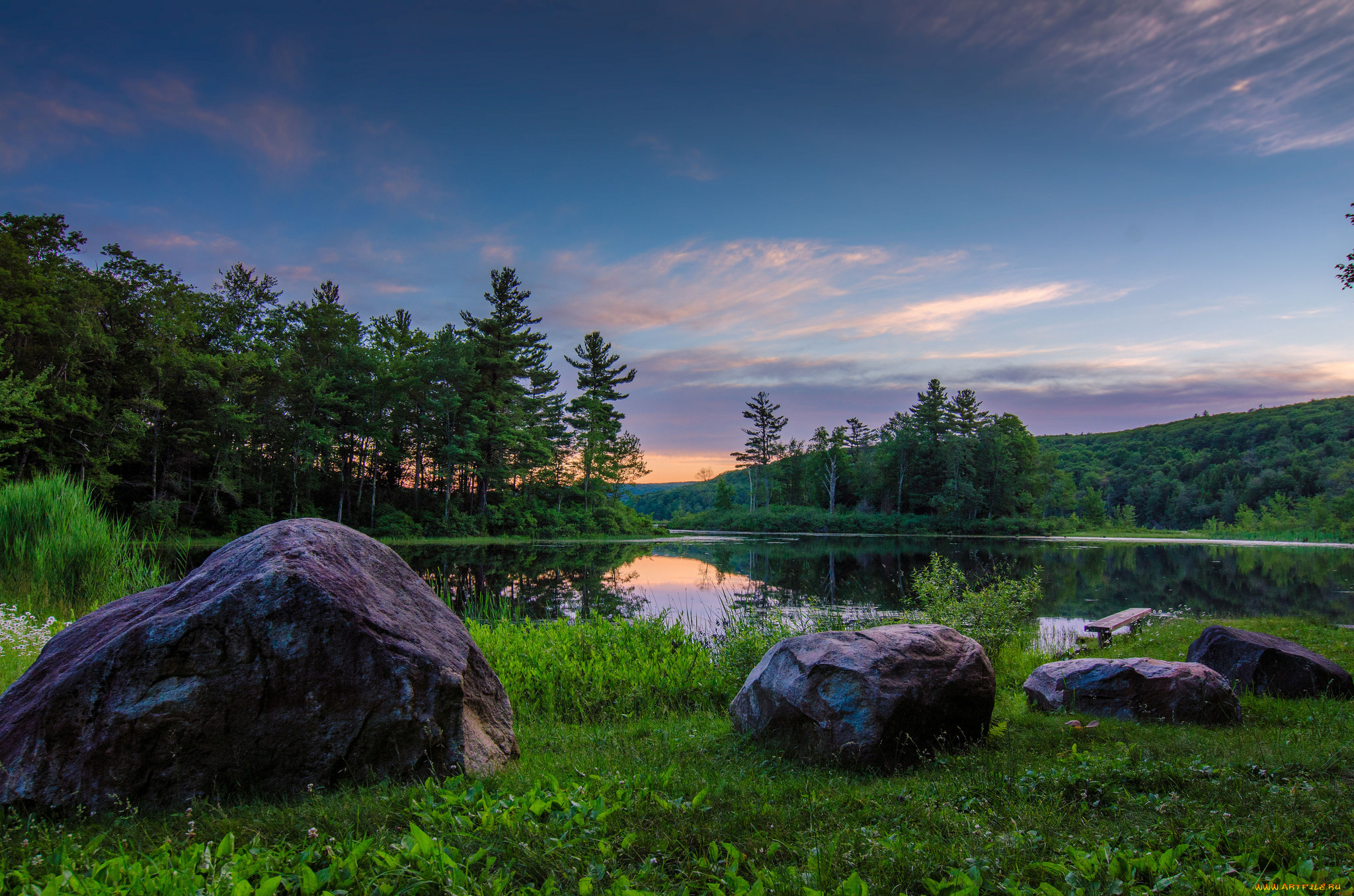 природа, реки, озера, река, лес