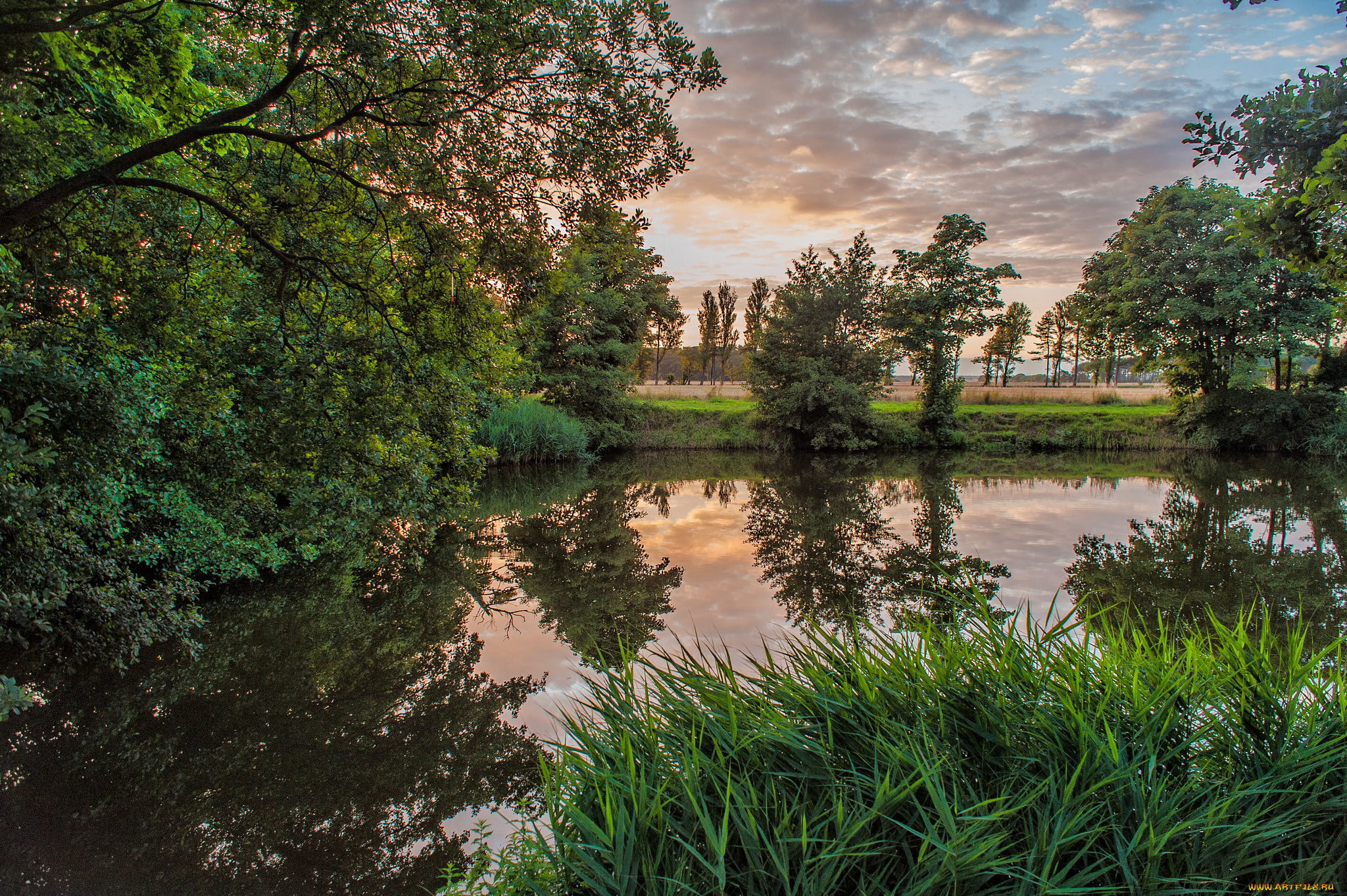 природа, реки, озера, река, лес