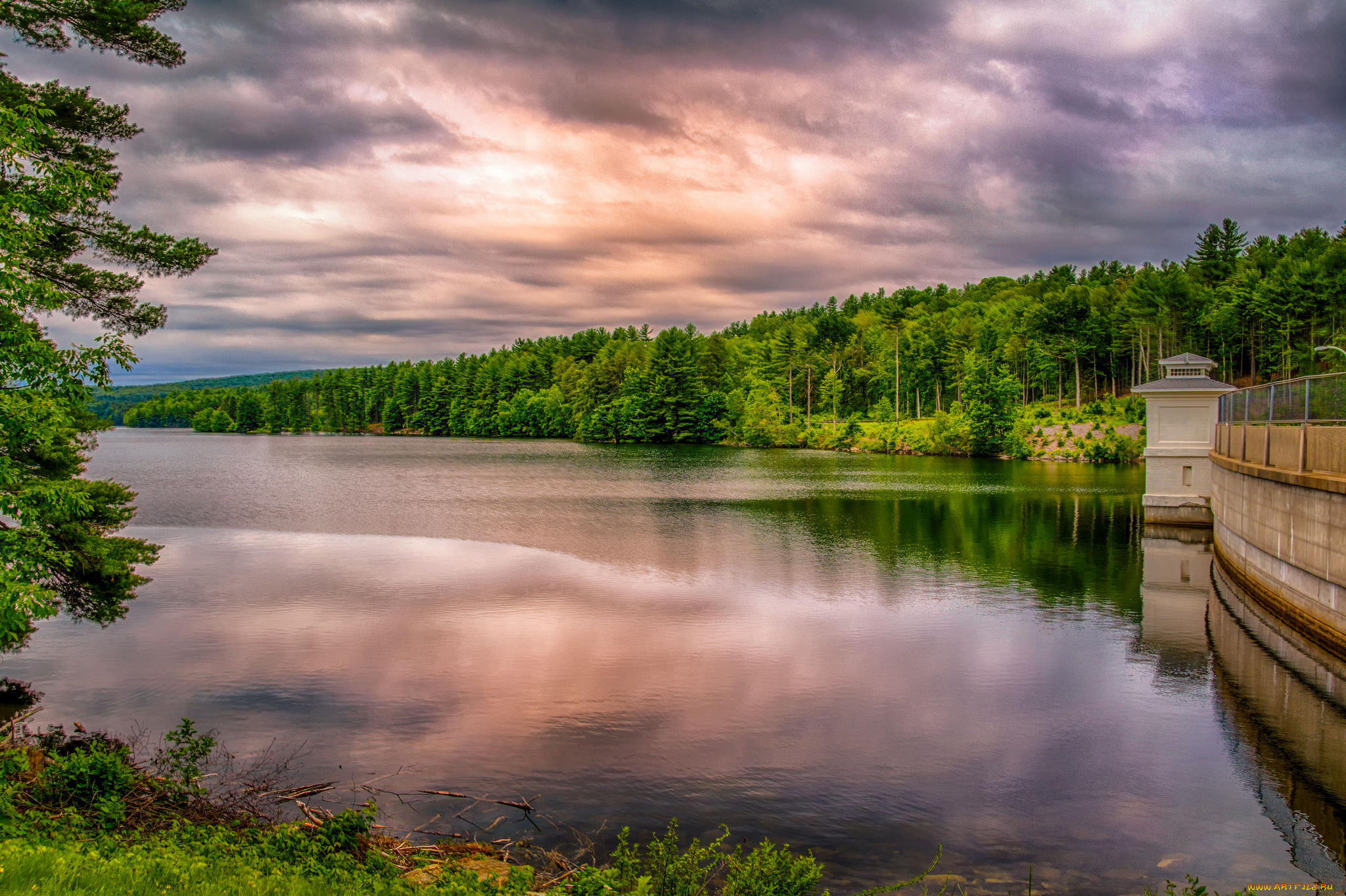 природа, реки, озера, река, лес