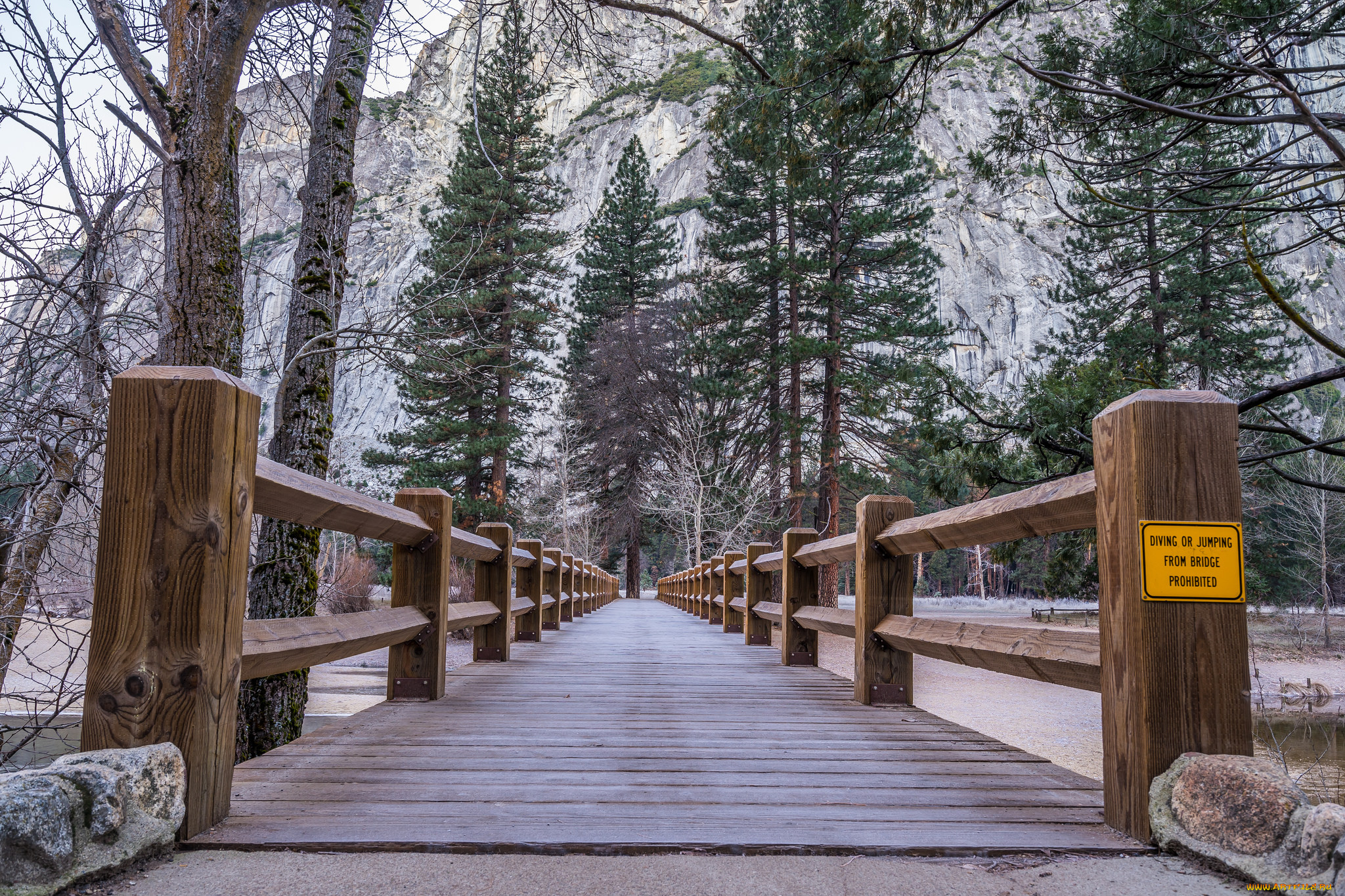 природа, дороги, деревья, мостик