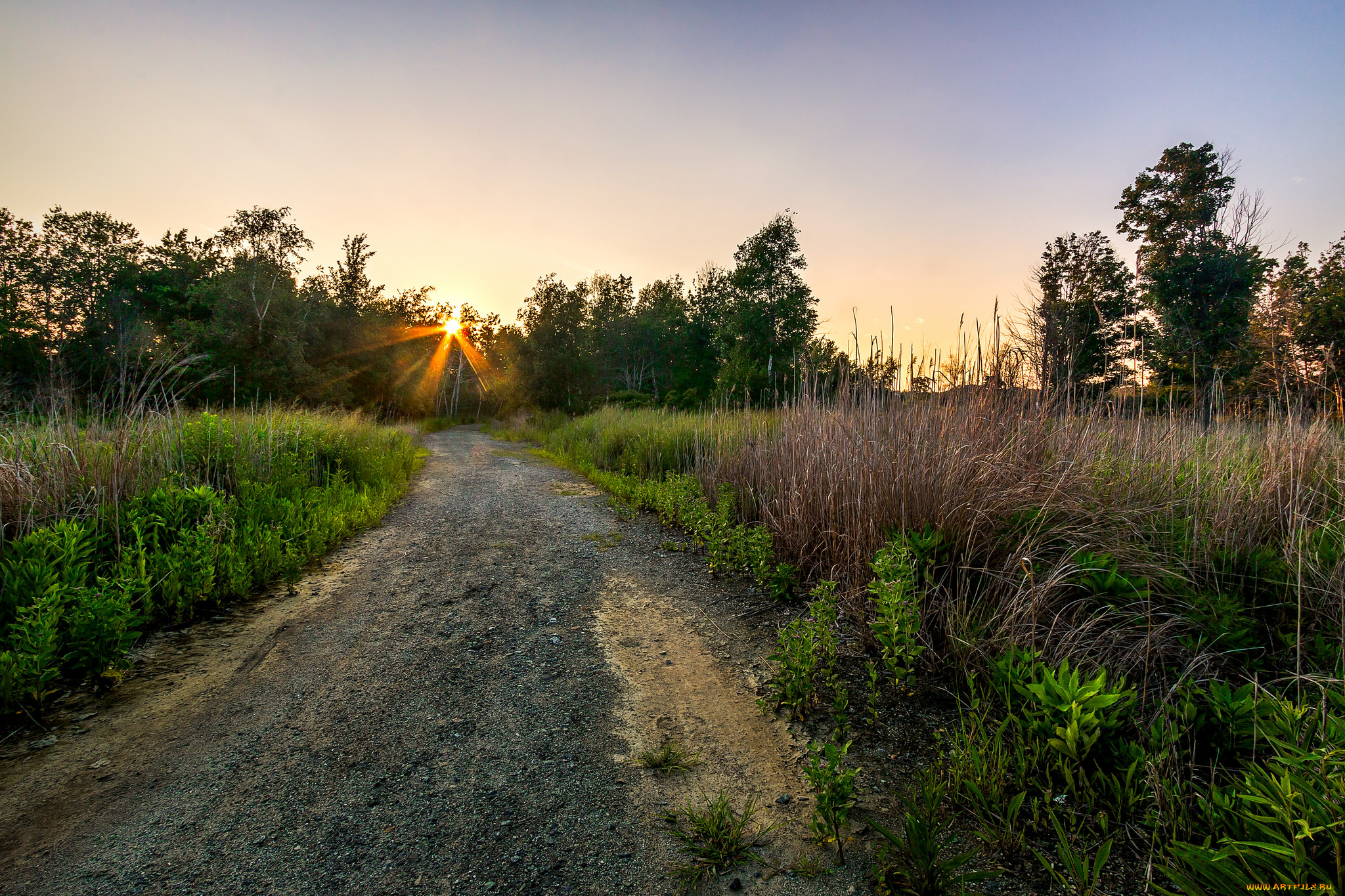 природа, дороги, рассвет