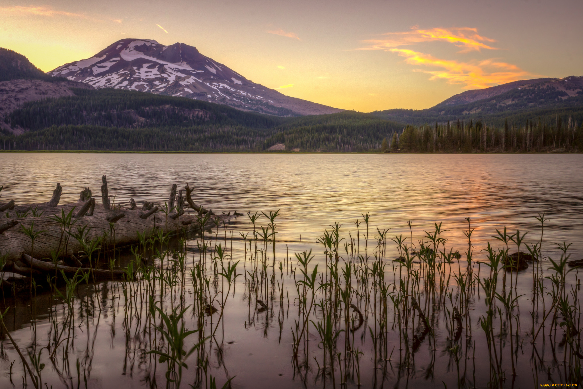 природа, реки, озера, река, лес, горы