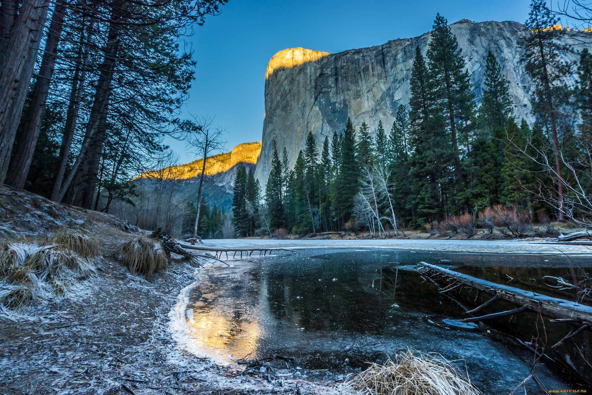 природа, реки, озера, река, лес, горы