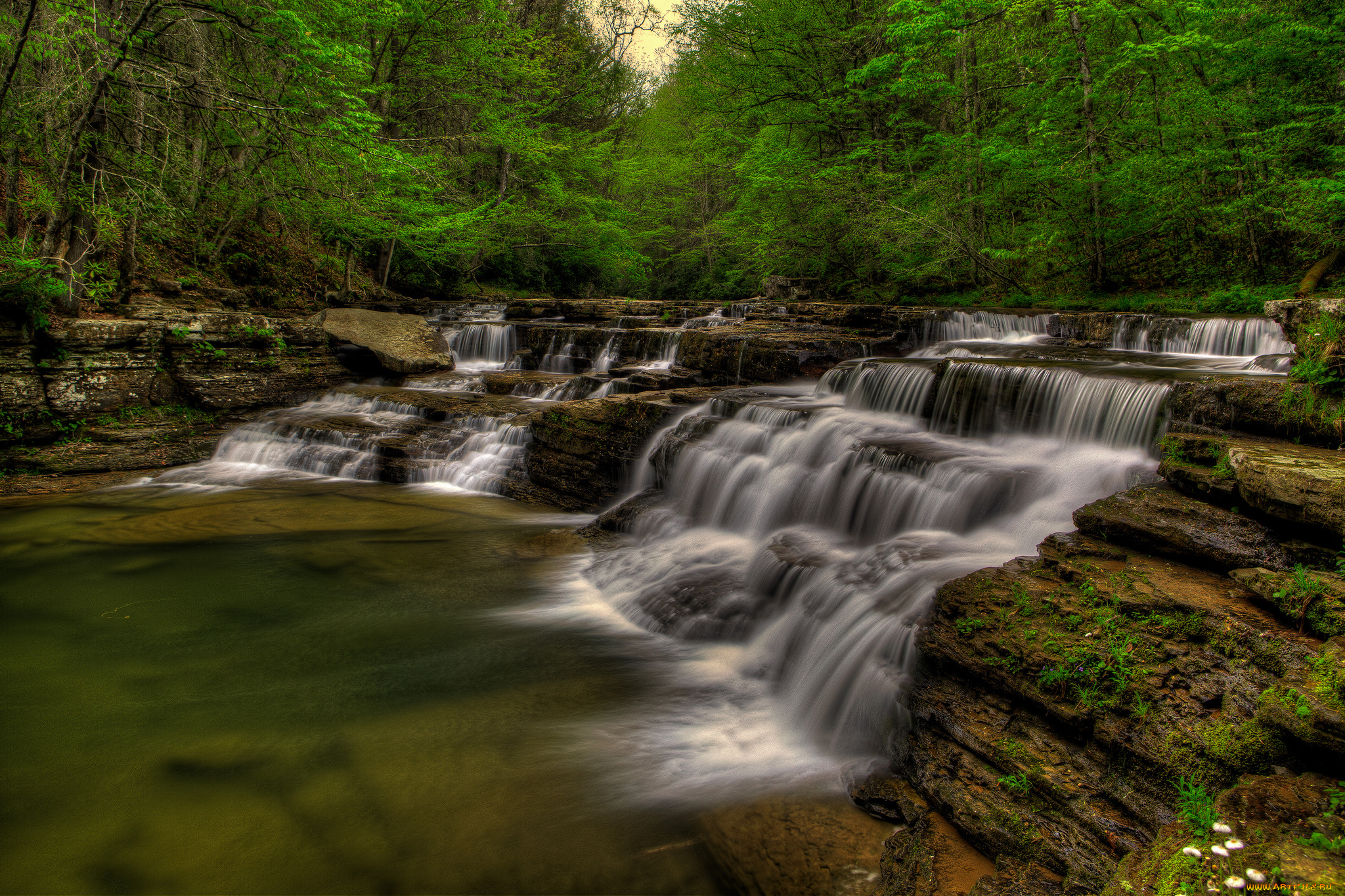 природа, водопады, лес, река, водопад