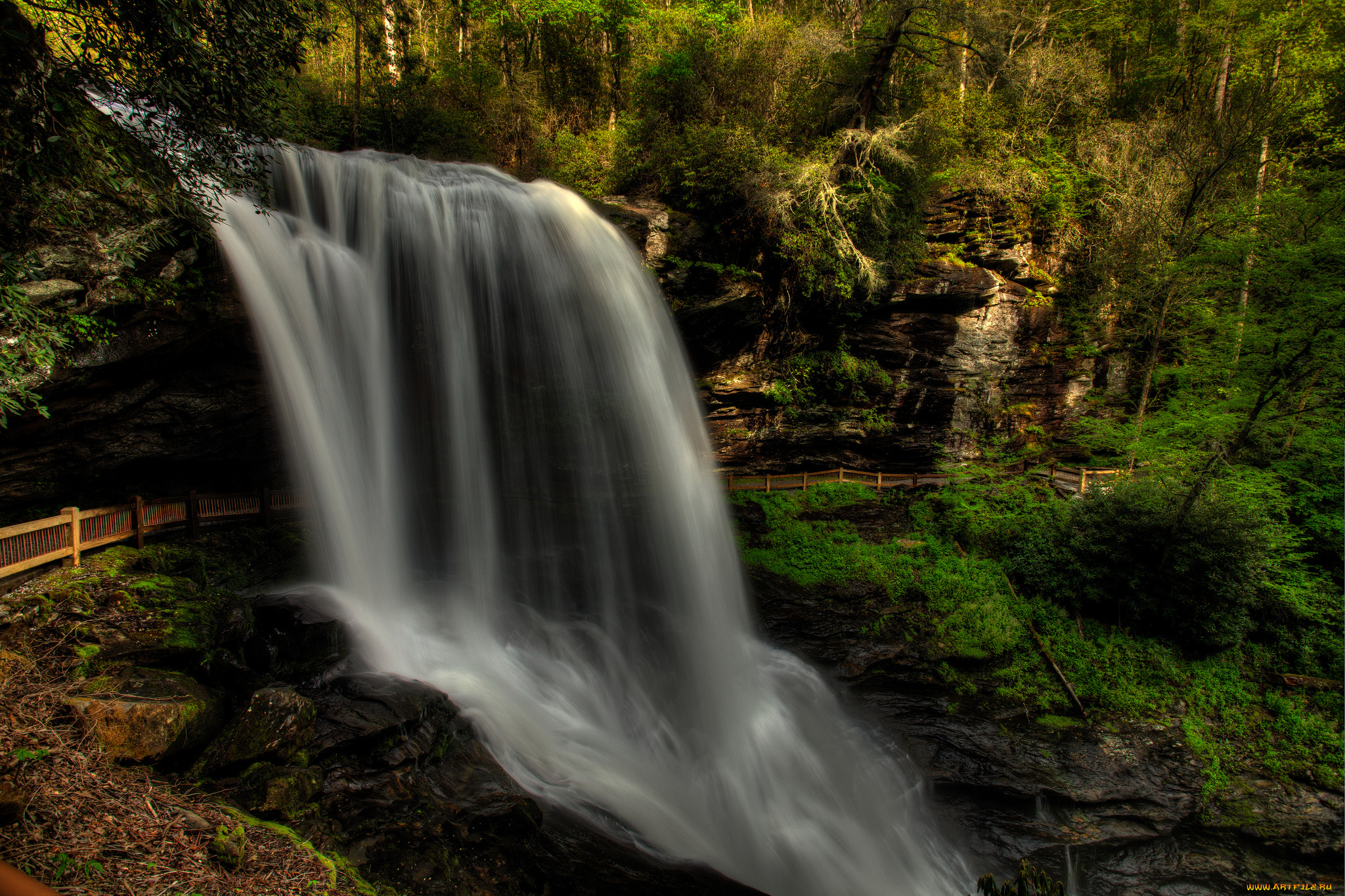 природа, водопады, лес, река, водопад