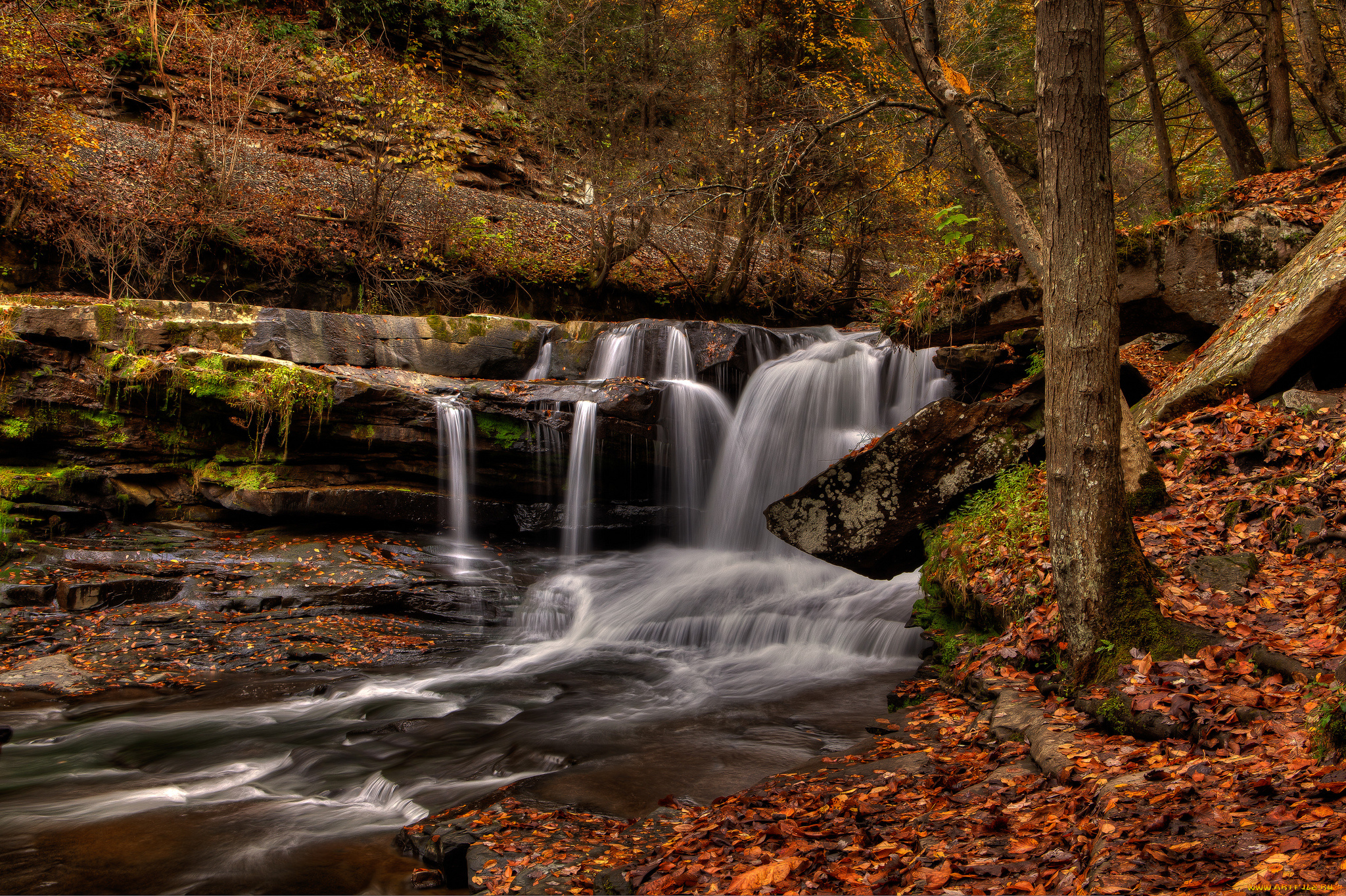 природа, водопады, лес, река, водопад