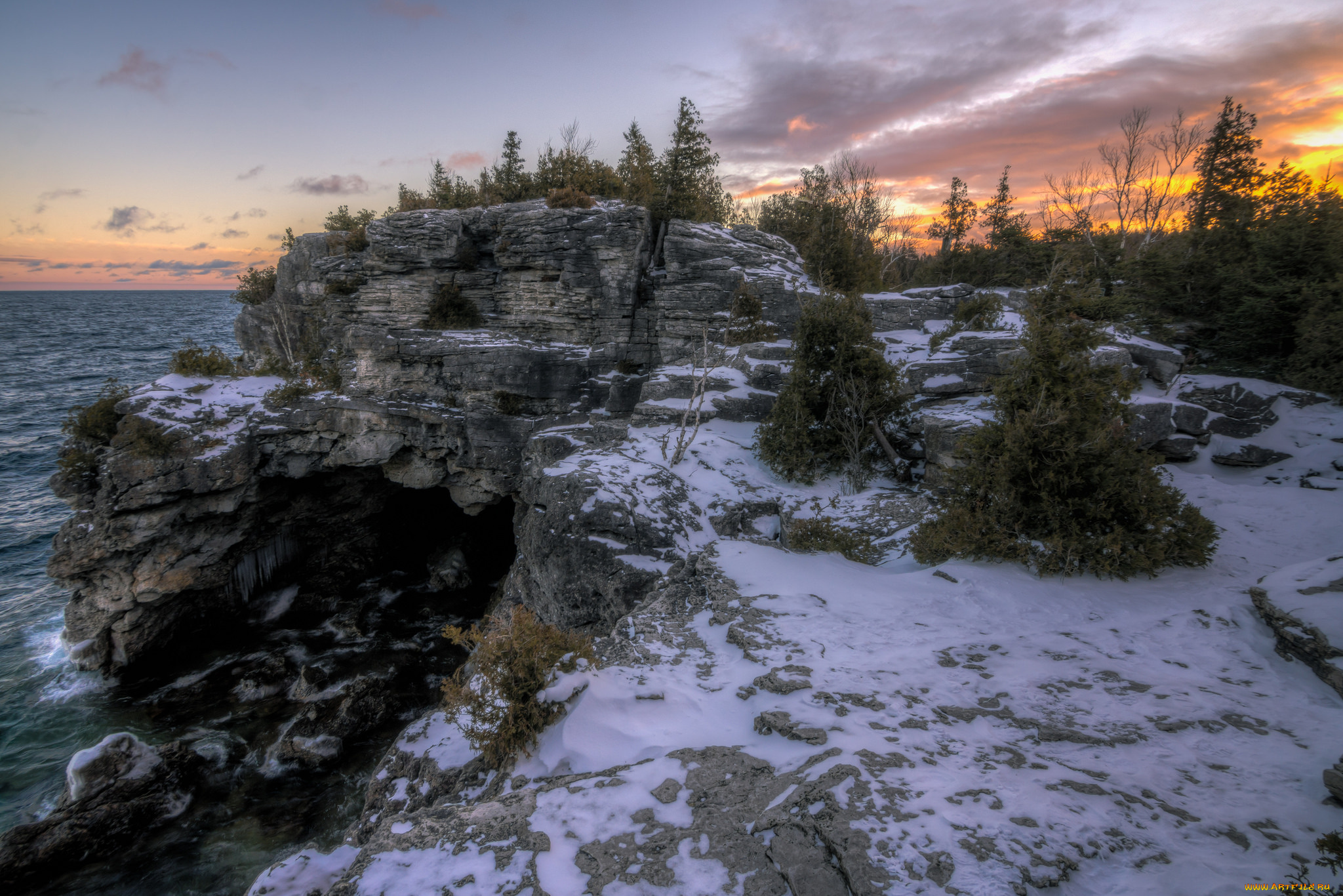 природа, побережье, деревья, скалы, снег, море