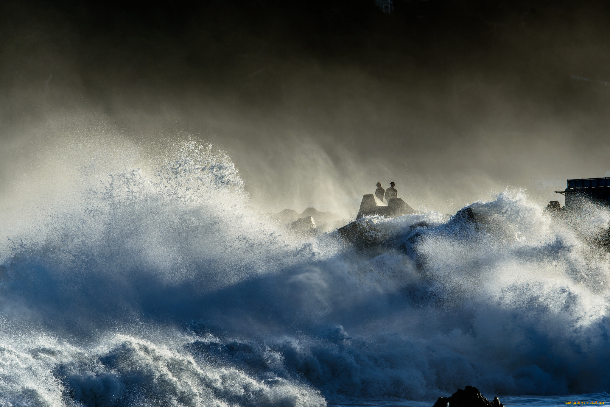 природа, стихия, люди, волна