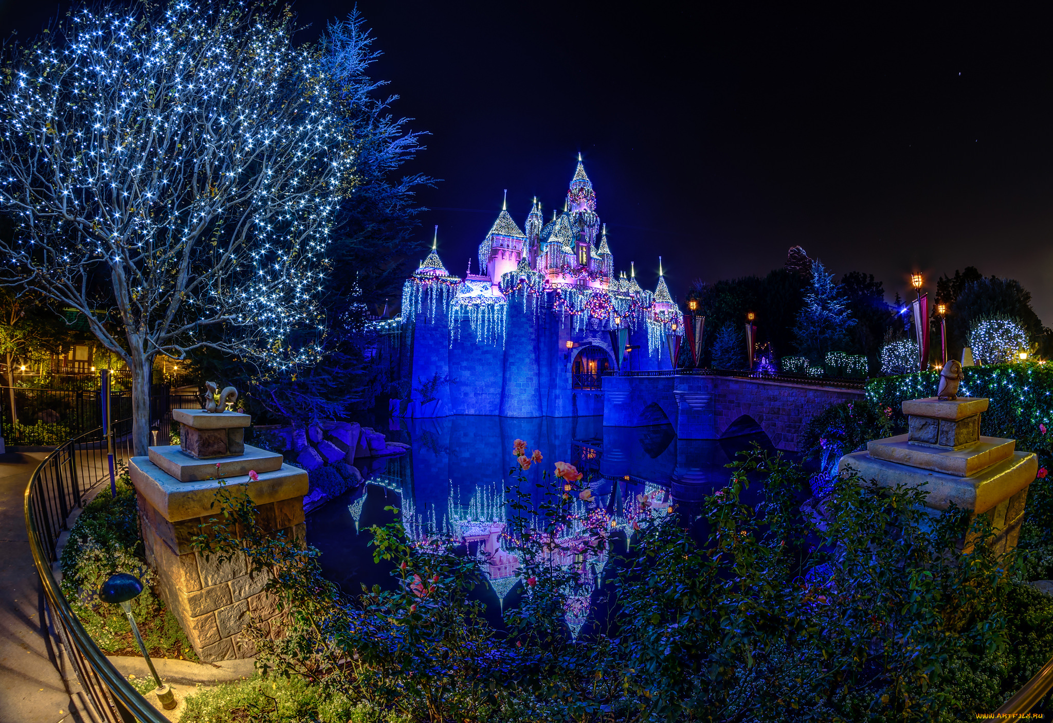 города, диснейленд, замок, парк, ночь