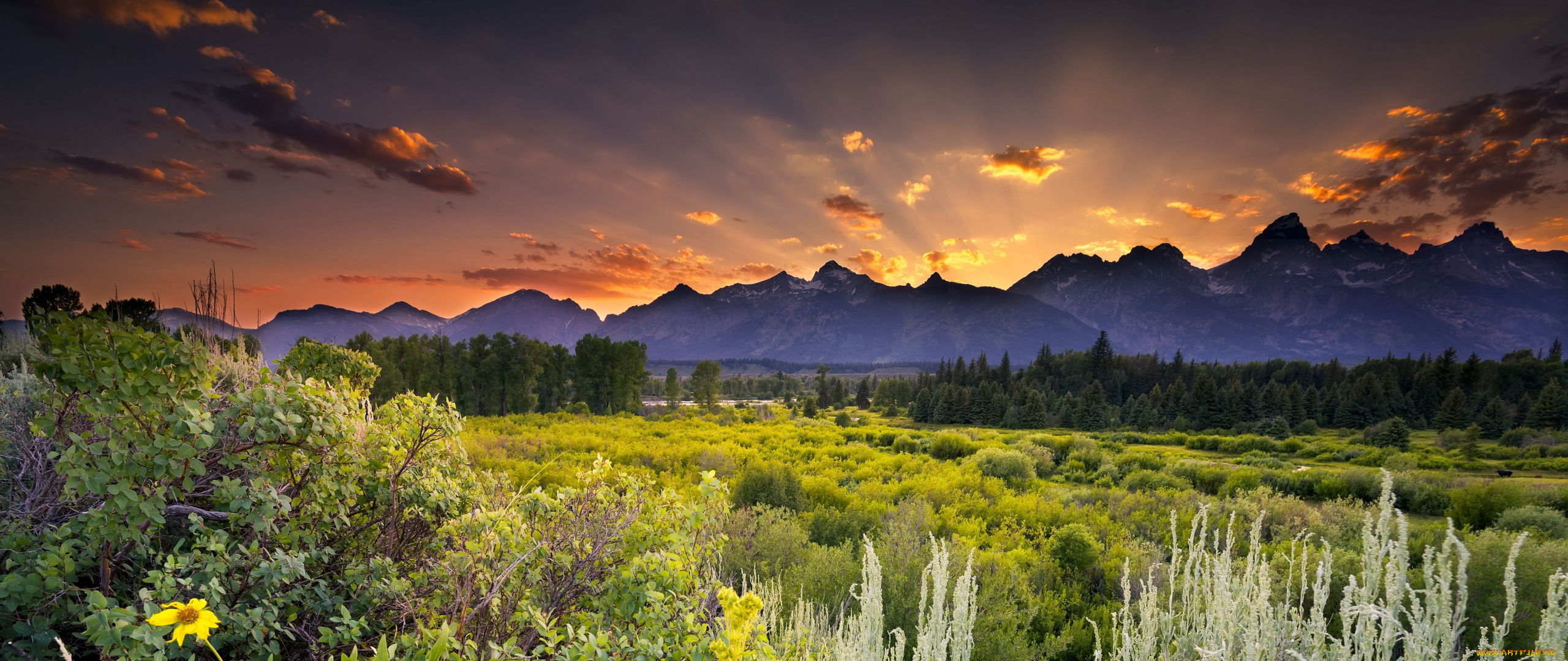 природа, восходы, закаты, закат, облака, горы, лес