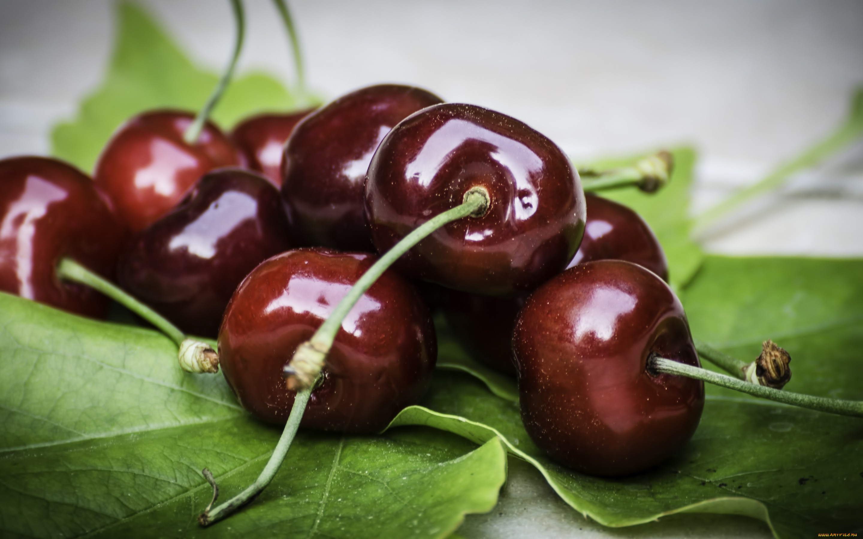 еда, вишня, , черешня, ягоды, черешня, листья