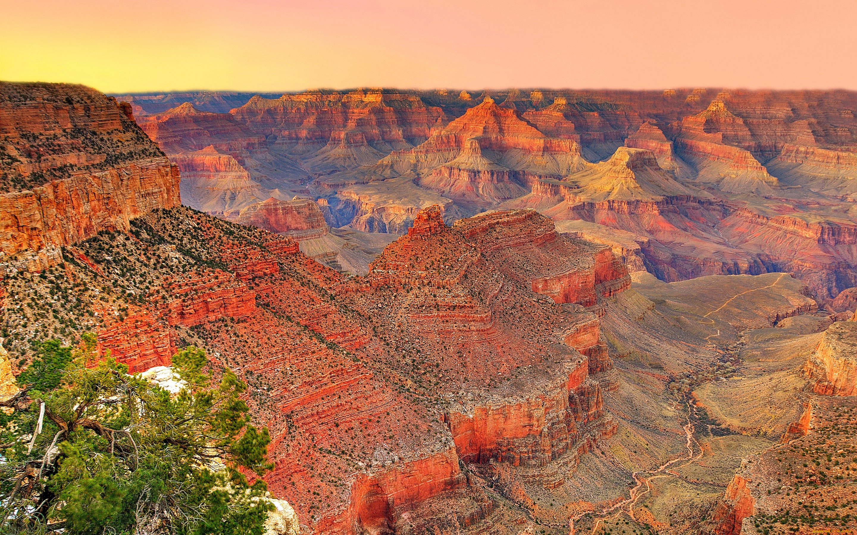 природа, горы, сша, аризона, grand, canyon, national, park, дерево, закат, каньон, небо, usa