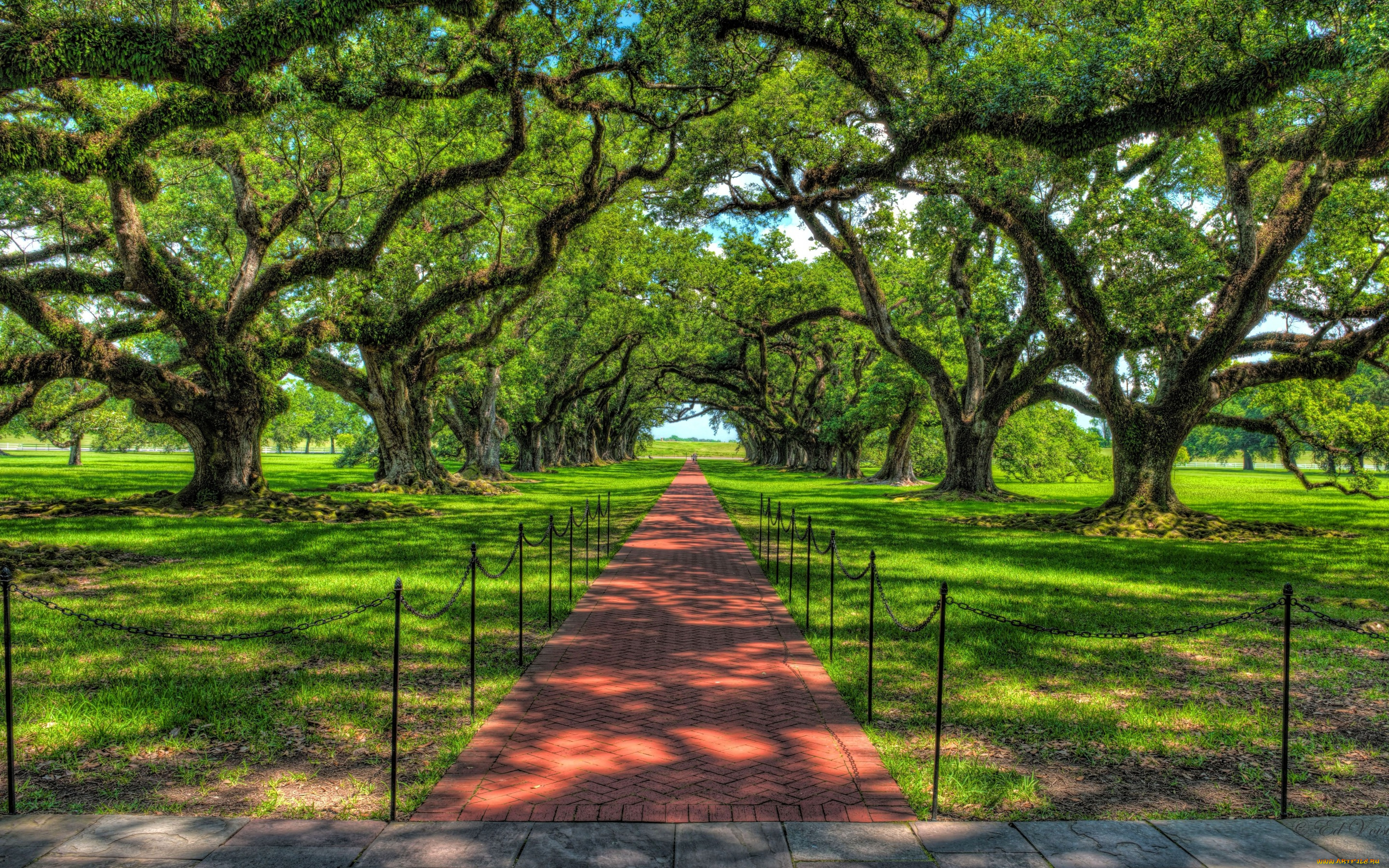 природа, парк, hdr, деревья, тропинка, дорожка