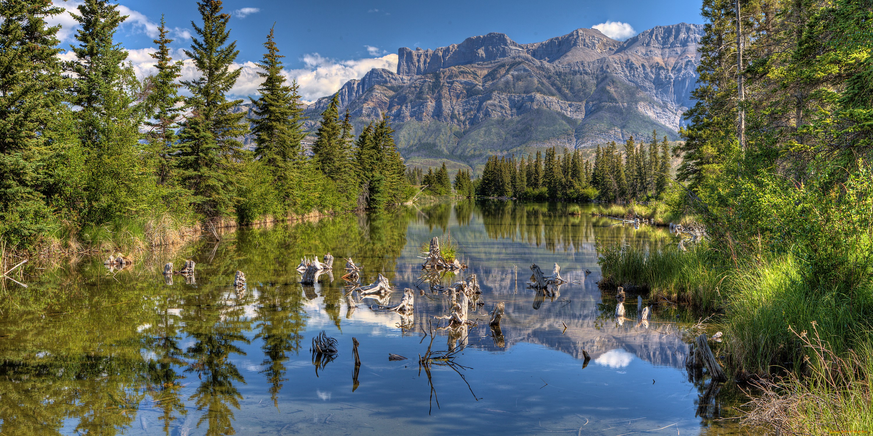 природа, реки, озера, горы, лес, река