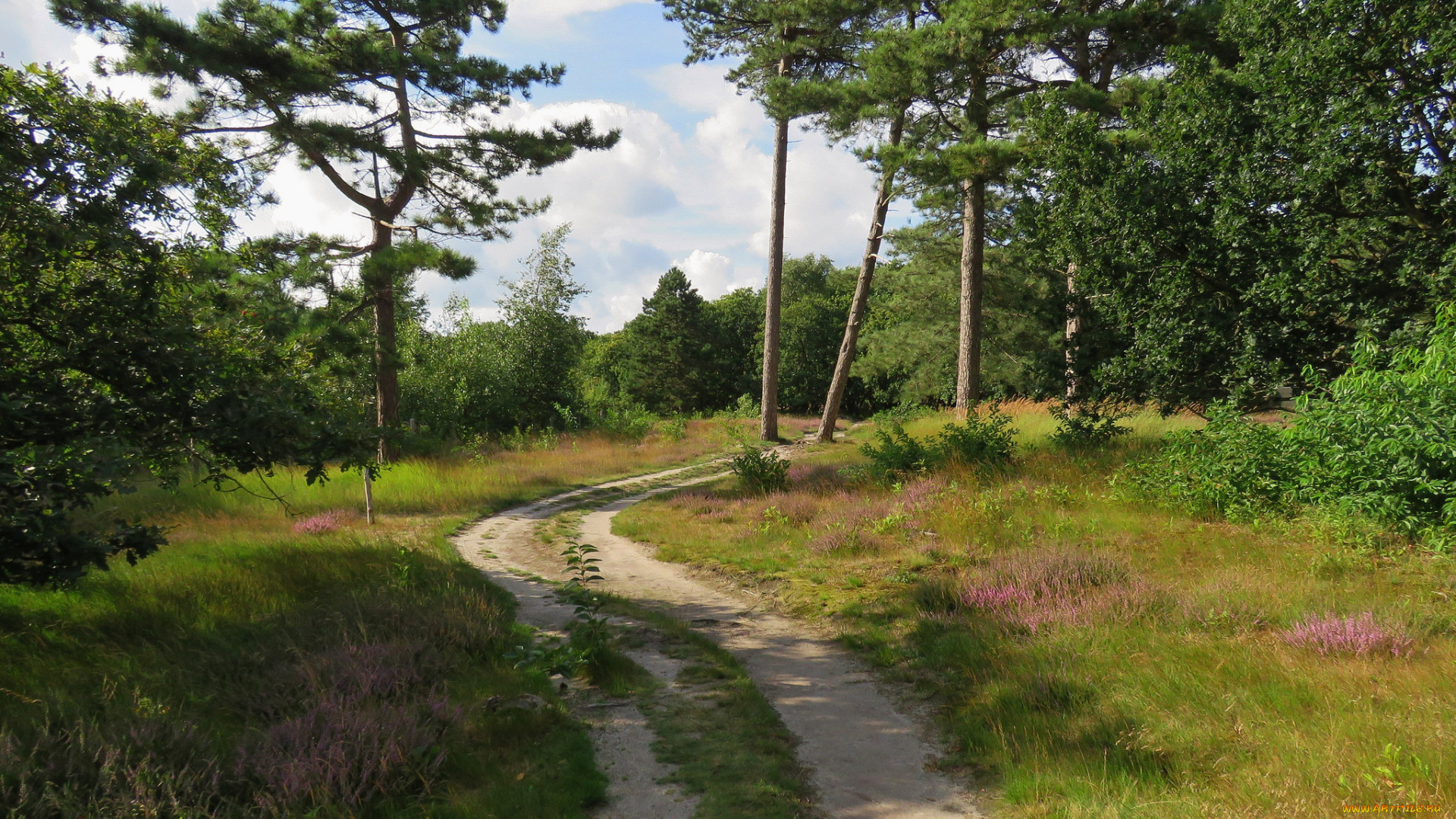 природа, дороги, тракт