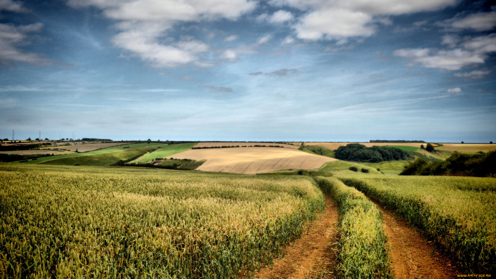 природа, дороги, тракт