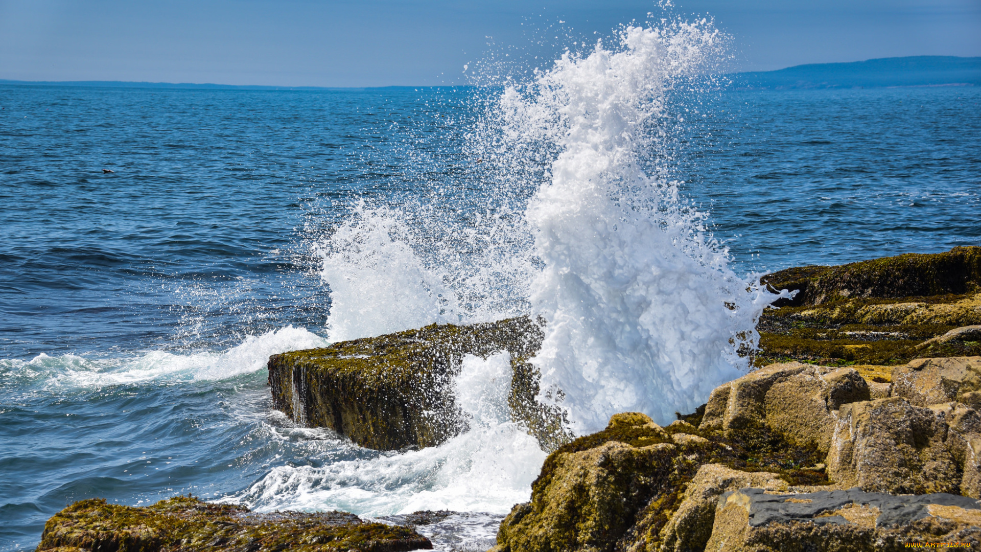 природа, побережье, море, берег