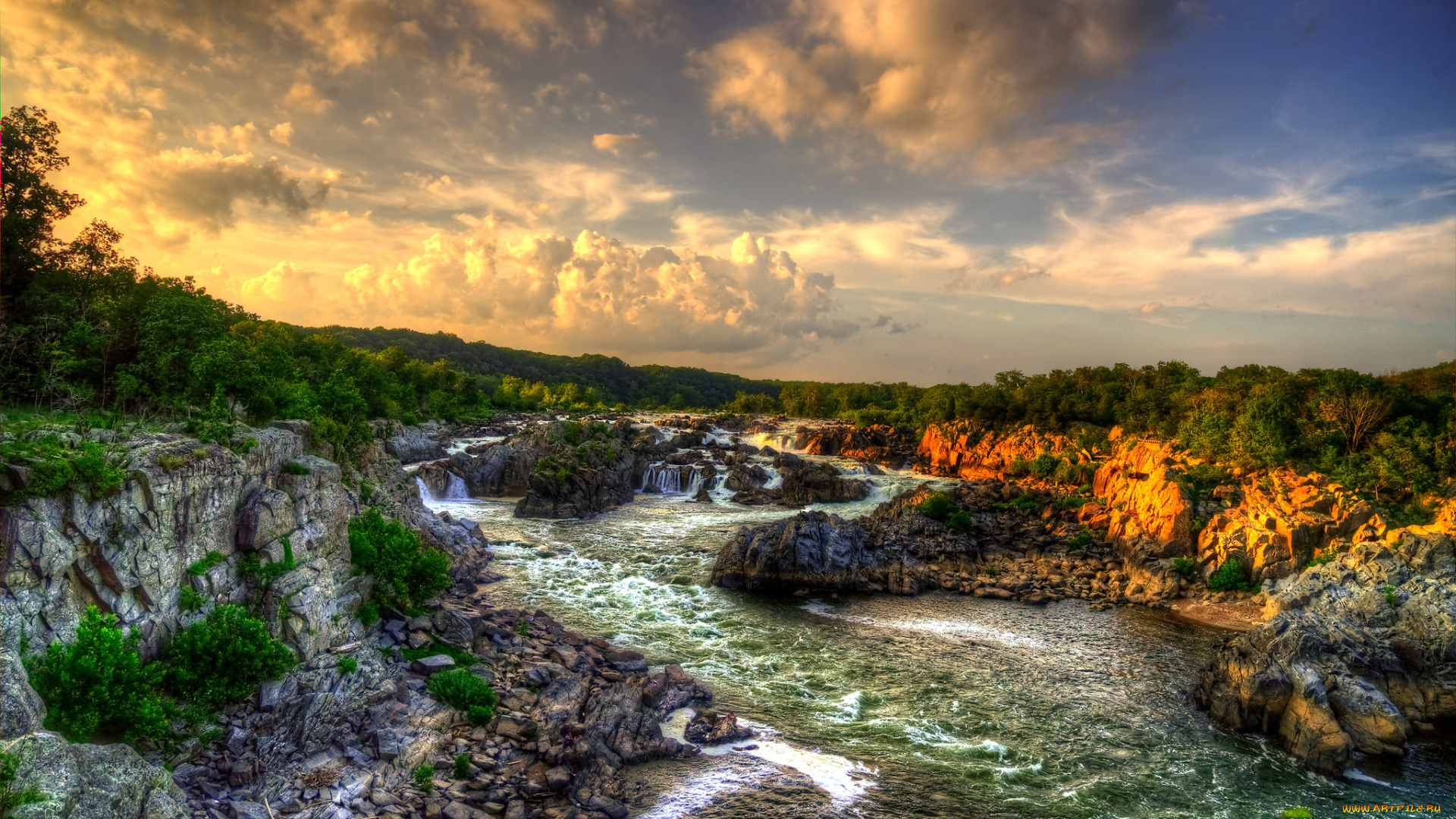 природа, реки, озера, река, лес