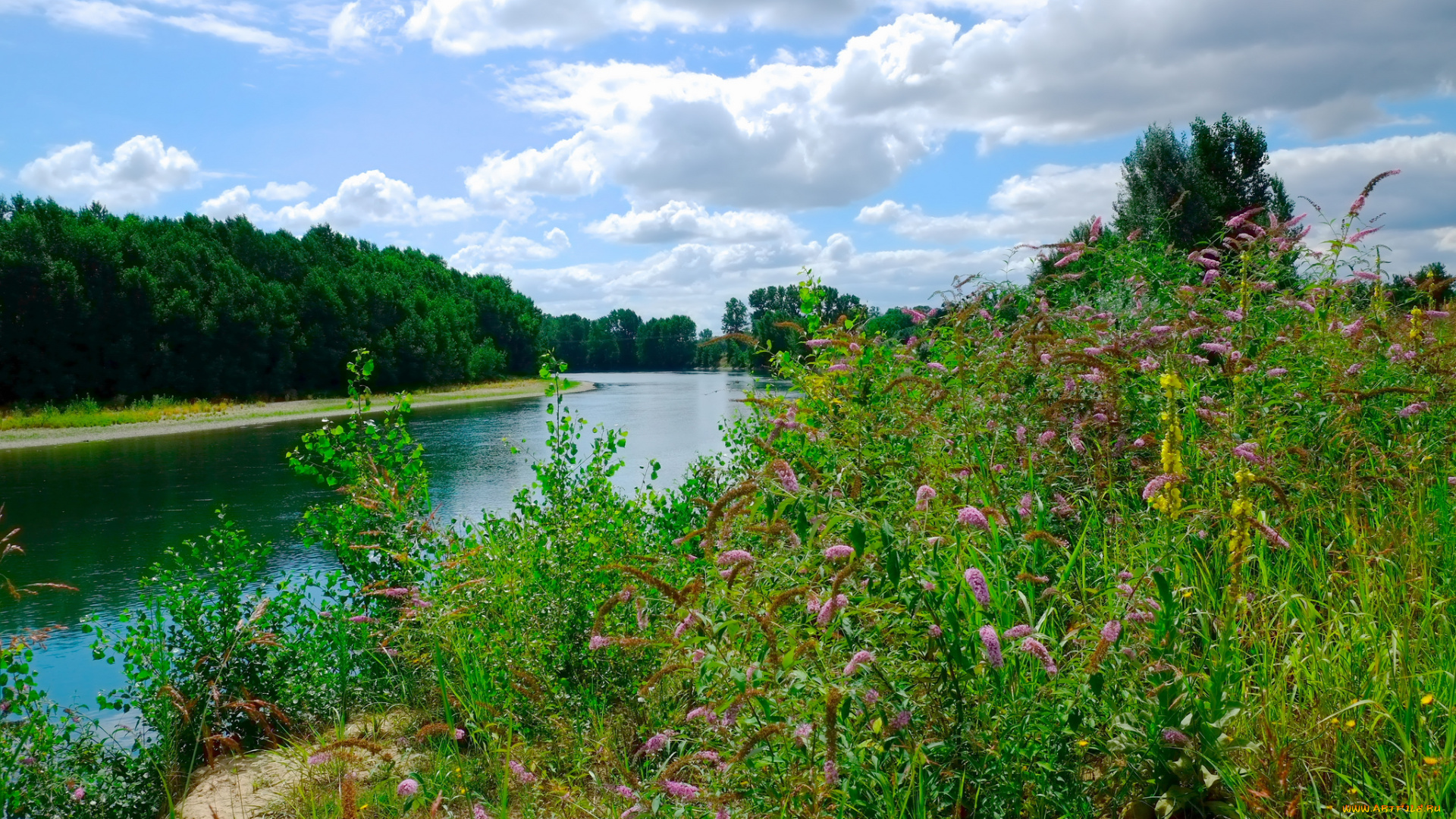 природа, реки, озера, река, лес