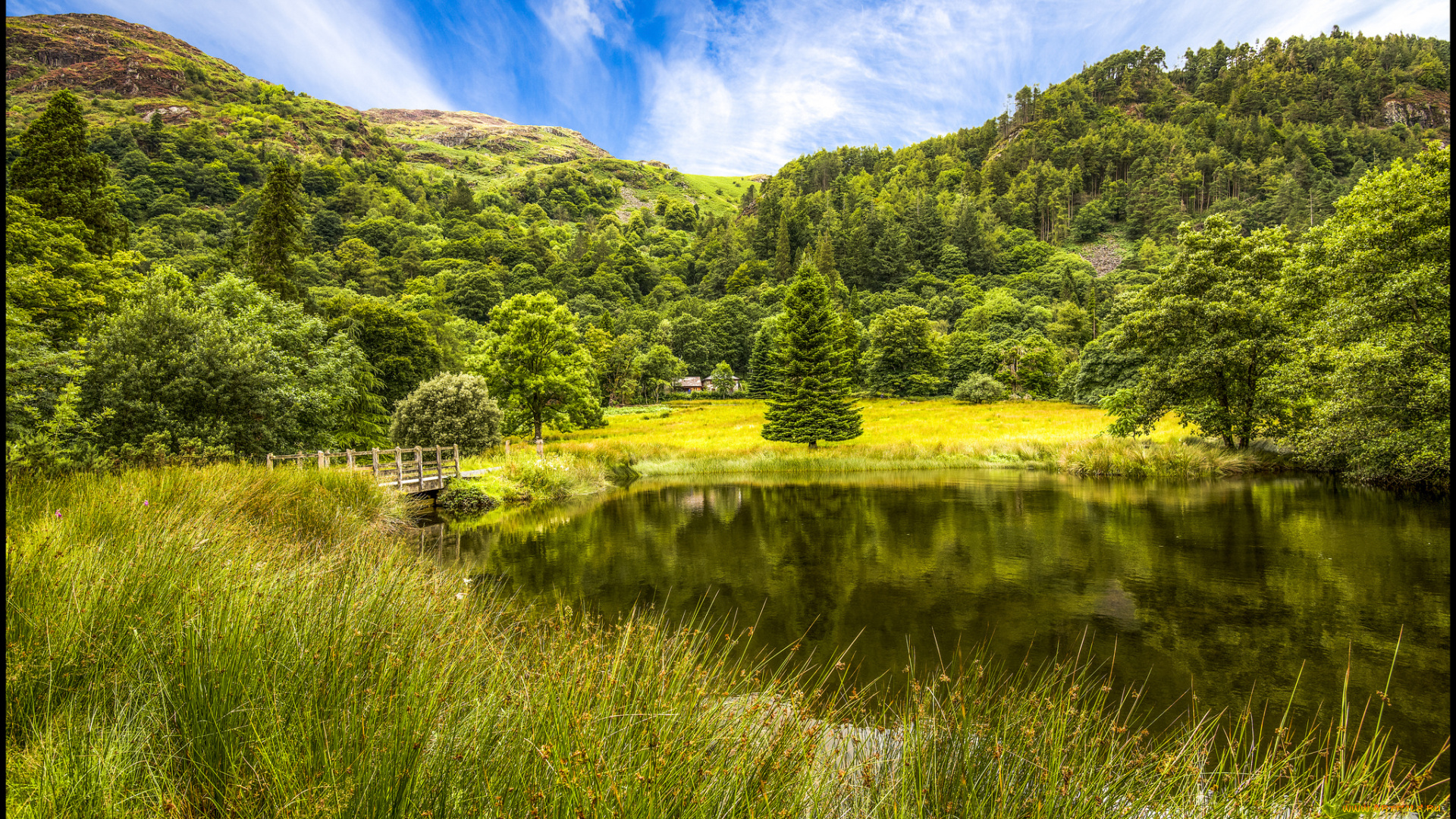 природа, реки, озера, река, лес