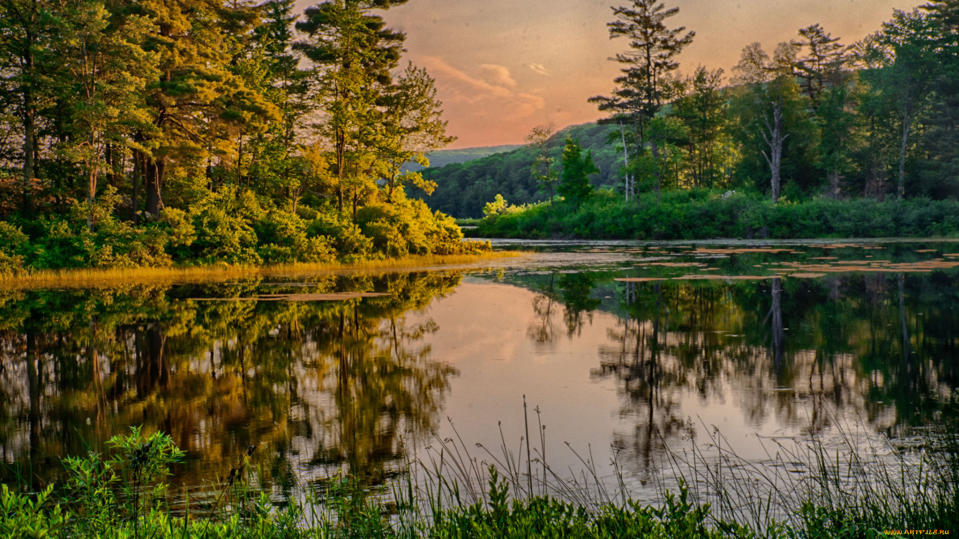 природа, реки, озера, река, лес