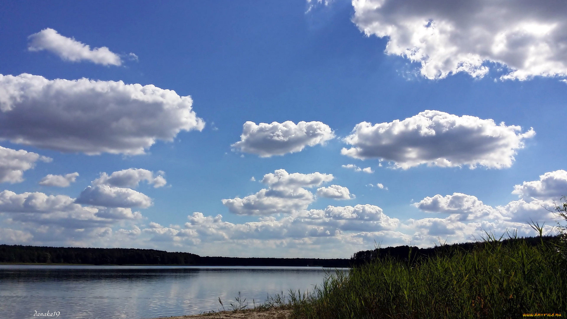природа, реки, озера, вода, небо, облака, камыш