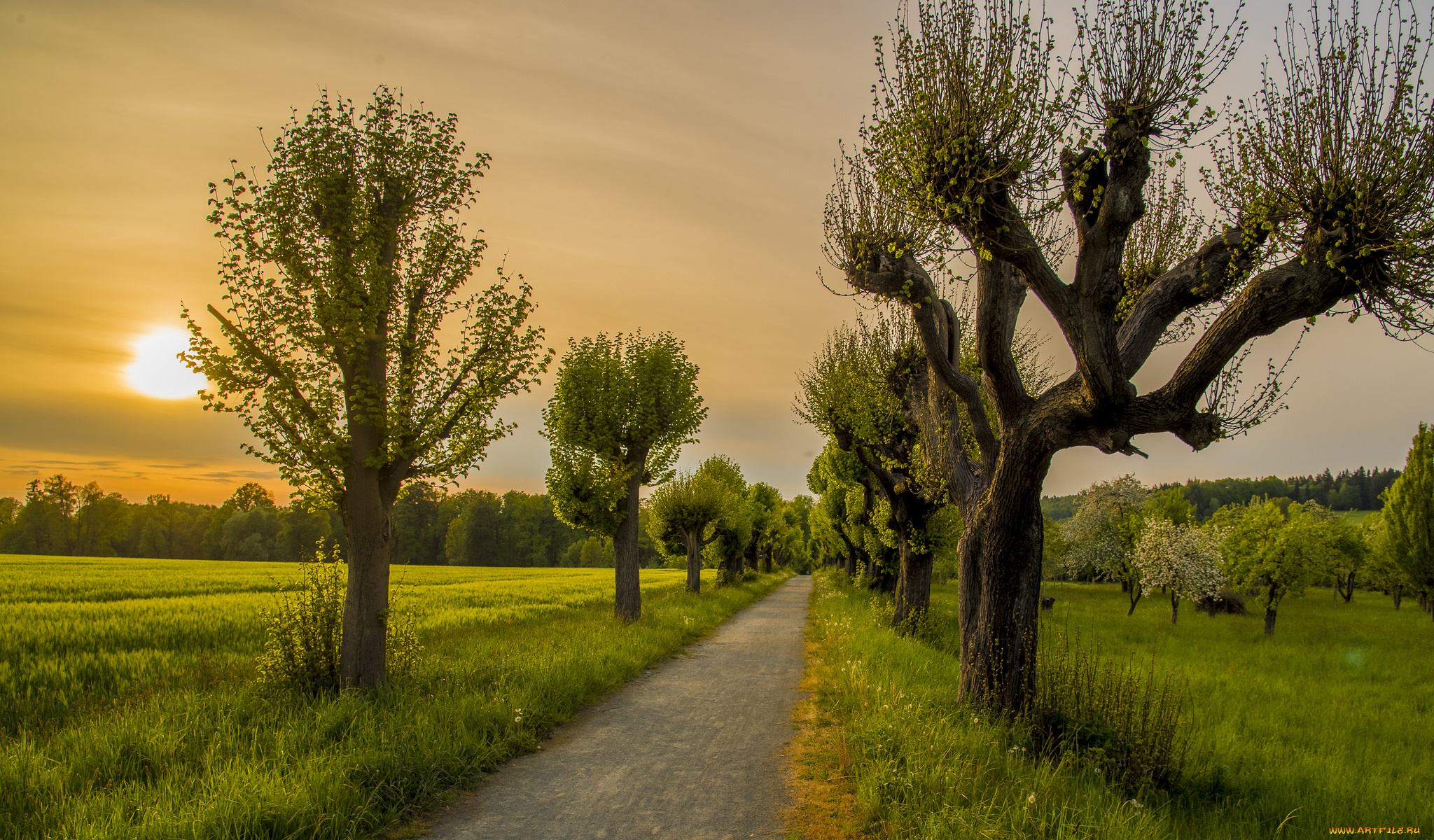 природа, дороги, тракт