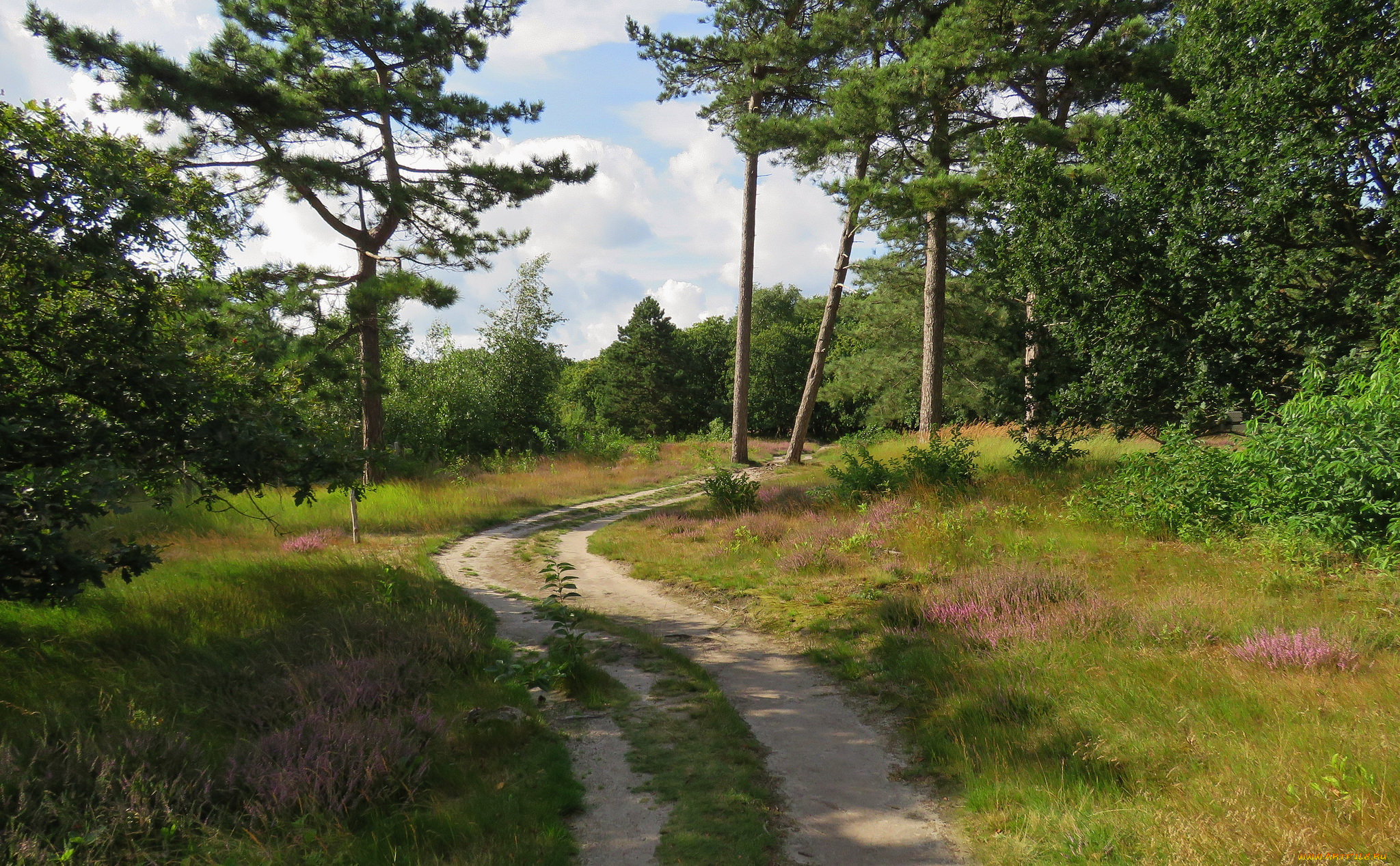 природа, дороги, тракт