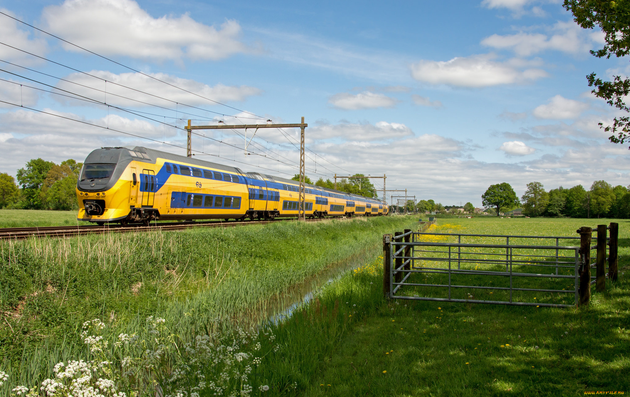 техника, электровозы, состав, локомотив, рельсы