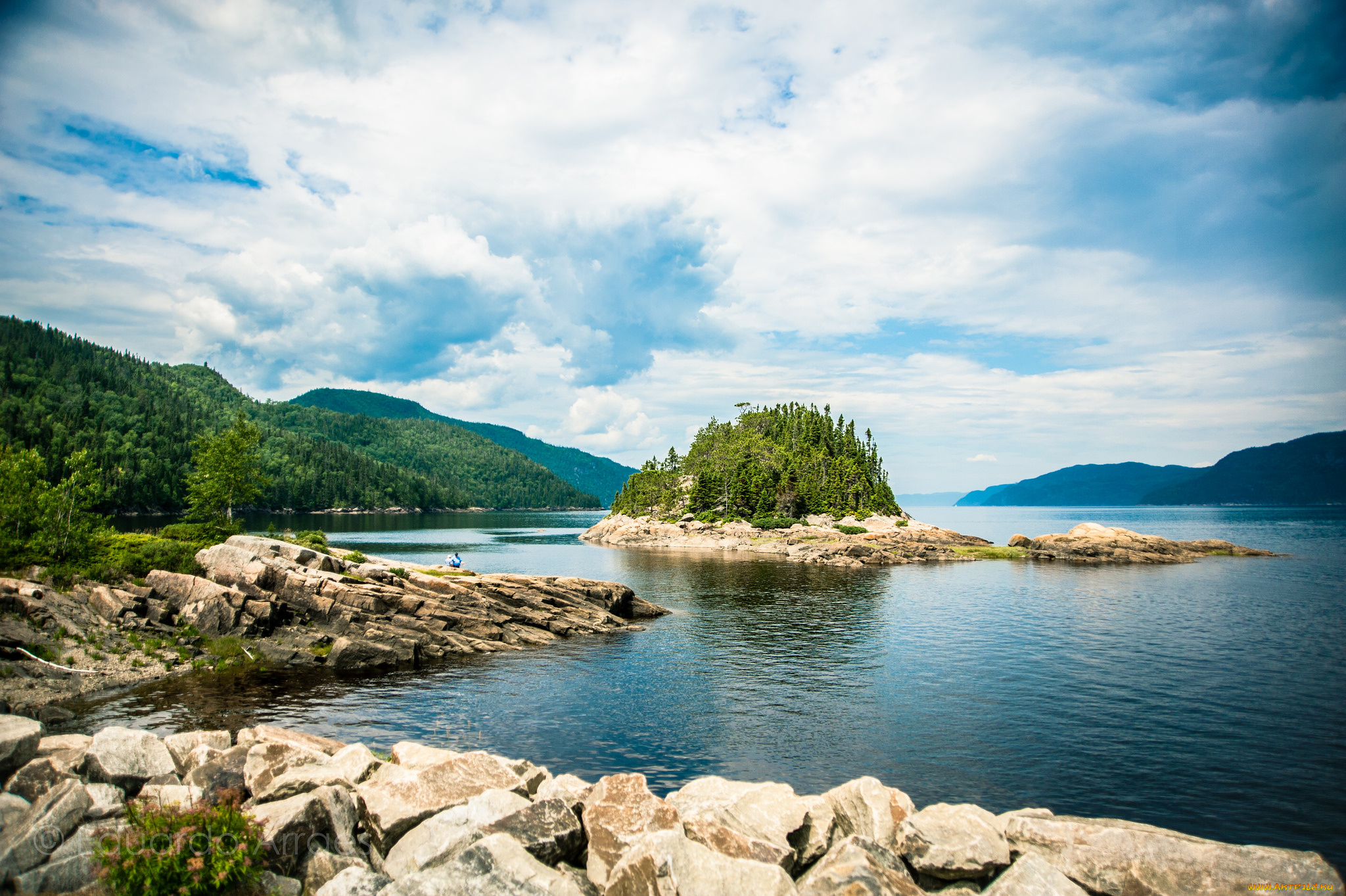 природа, реки, озера, река, лес