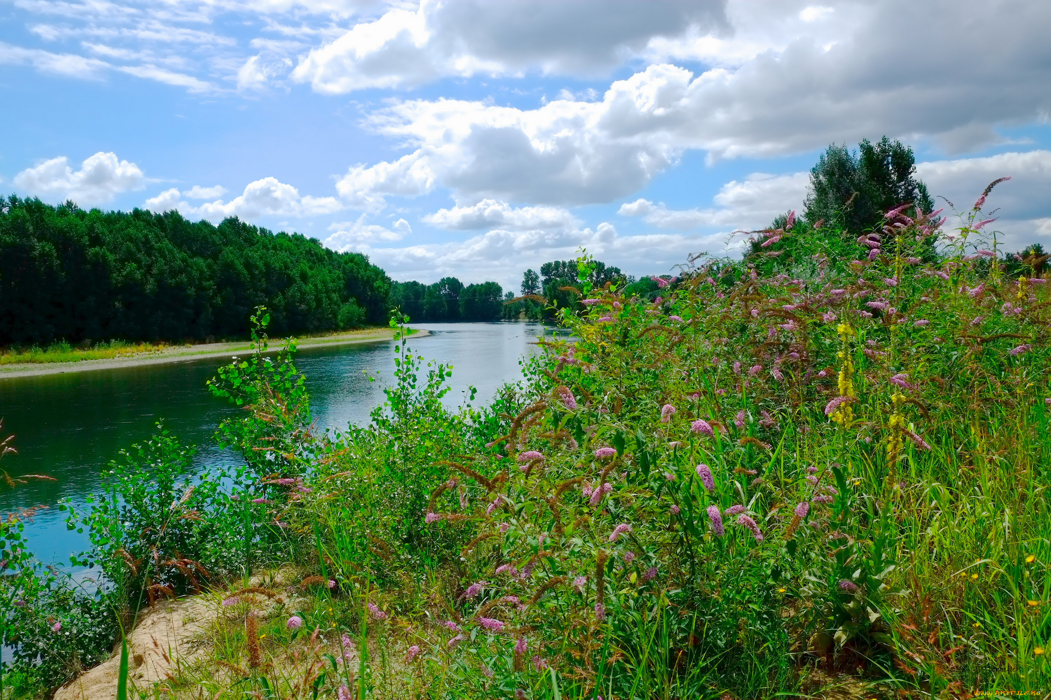 природа, реки, озера, река, лес