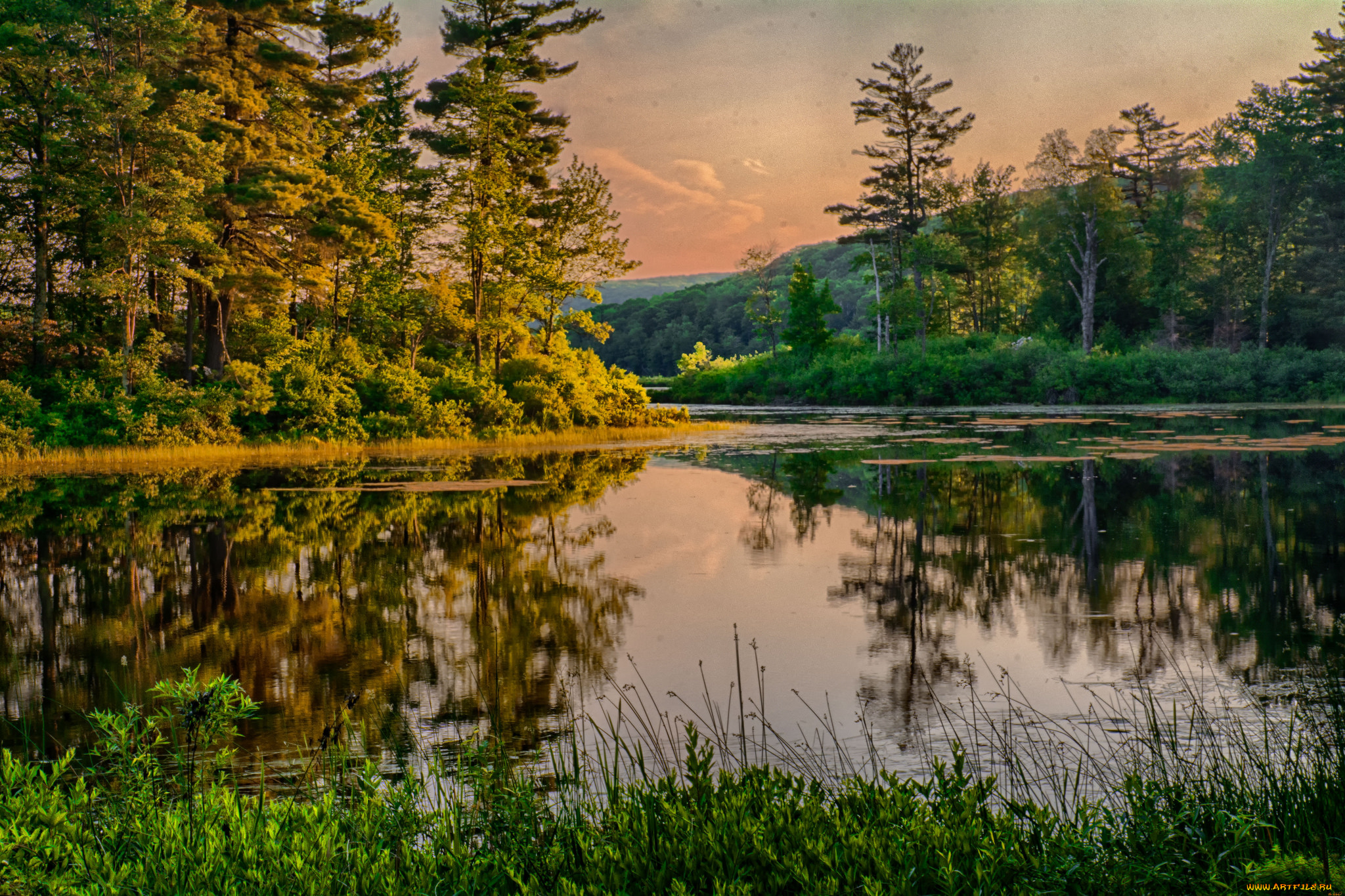 природа, реки, озера, река, лес