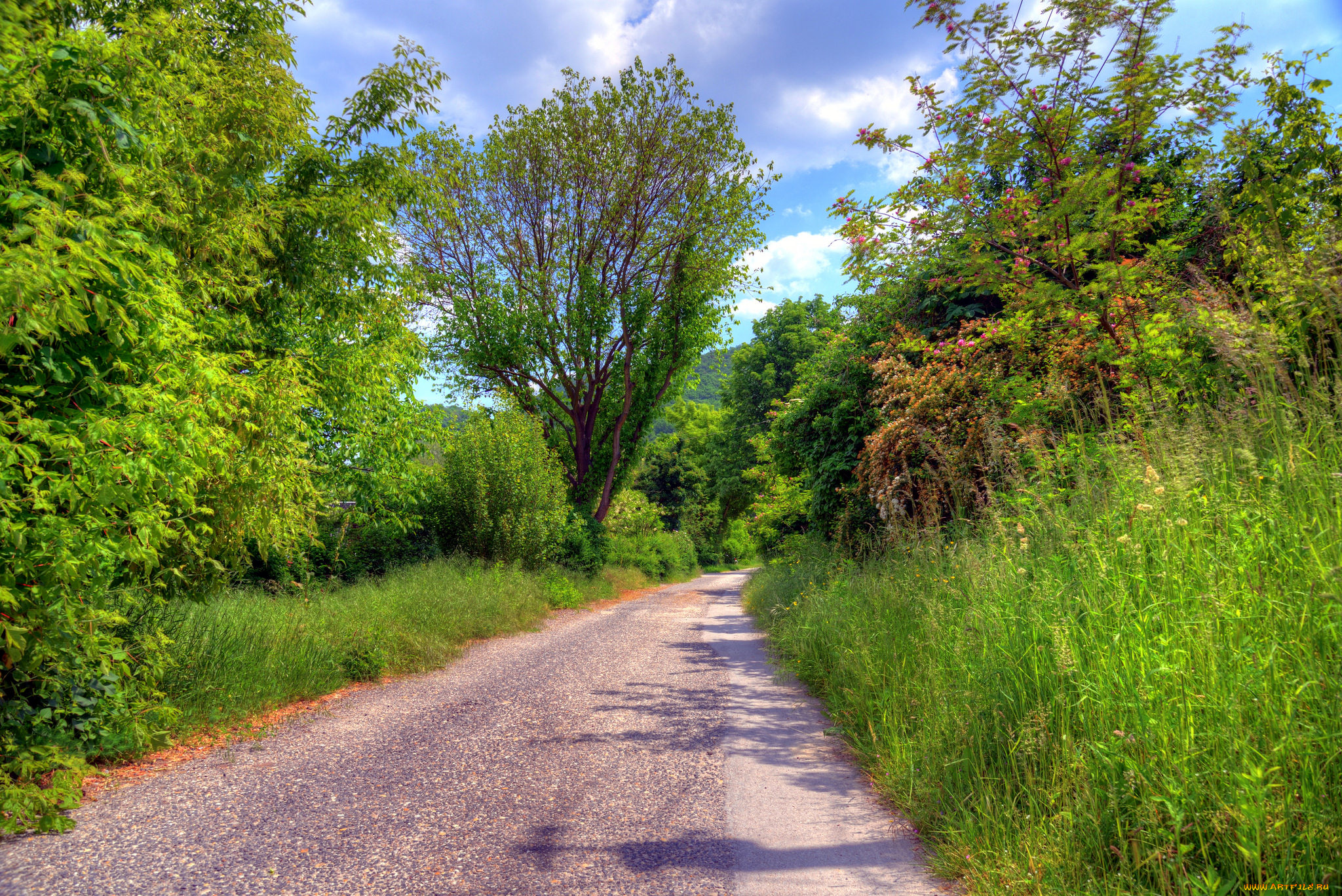 природа, дороги, тракт