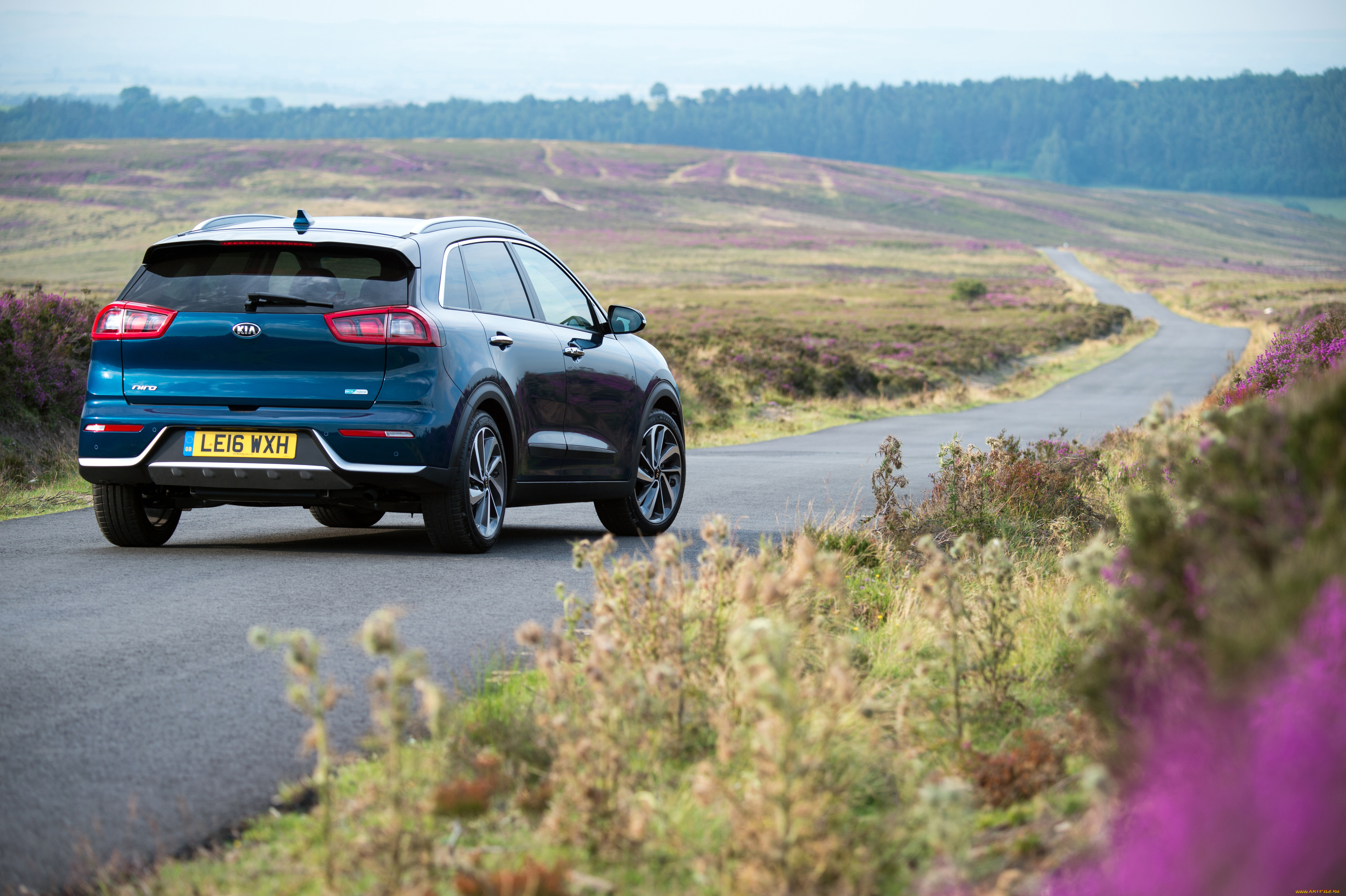 автомобили, kia