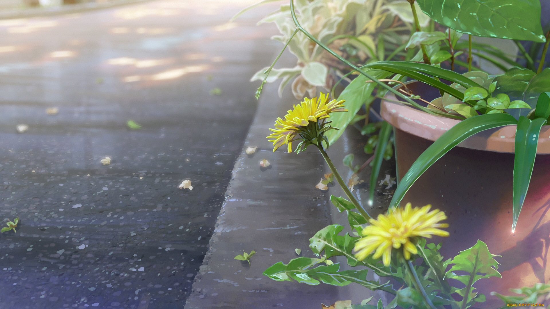 аниме, kimi, no, na, wa, твоё, имя