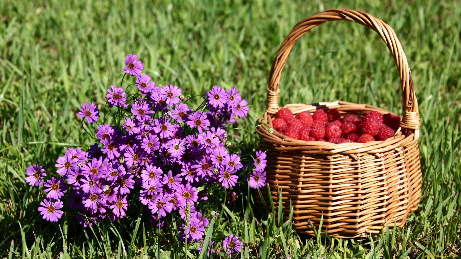 еда, малина, брахикома, букетик, дача, июль, композиции, корзинка, лето