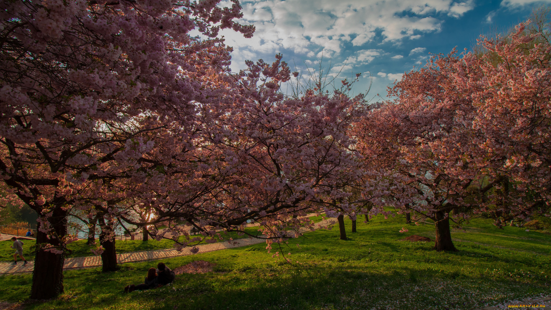 природа, парк