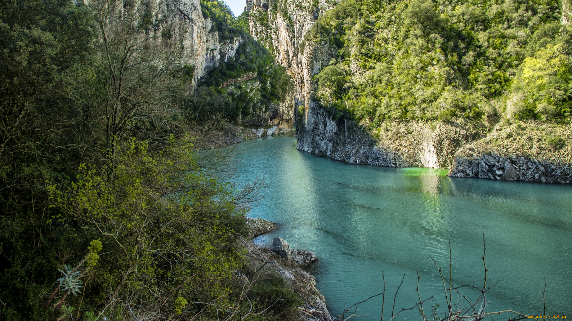 природа, реки, озера, лес, река