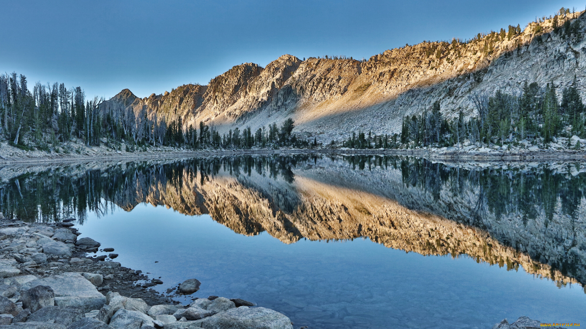 природа, реки, озера, лес, река